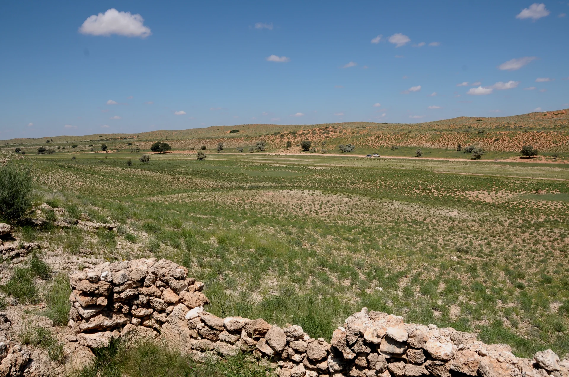 Leito seco e amplo do rio Nossob no Kalahari, com árvores espaçadas e horizonte aberto sob céu azul.