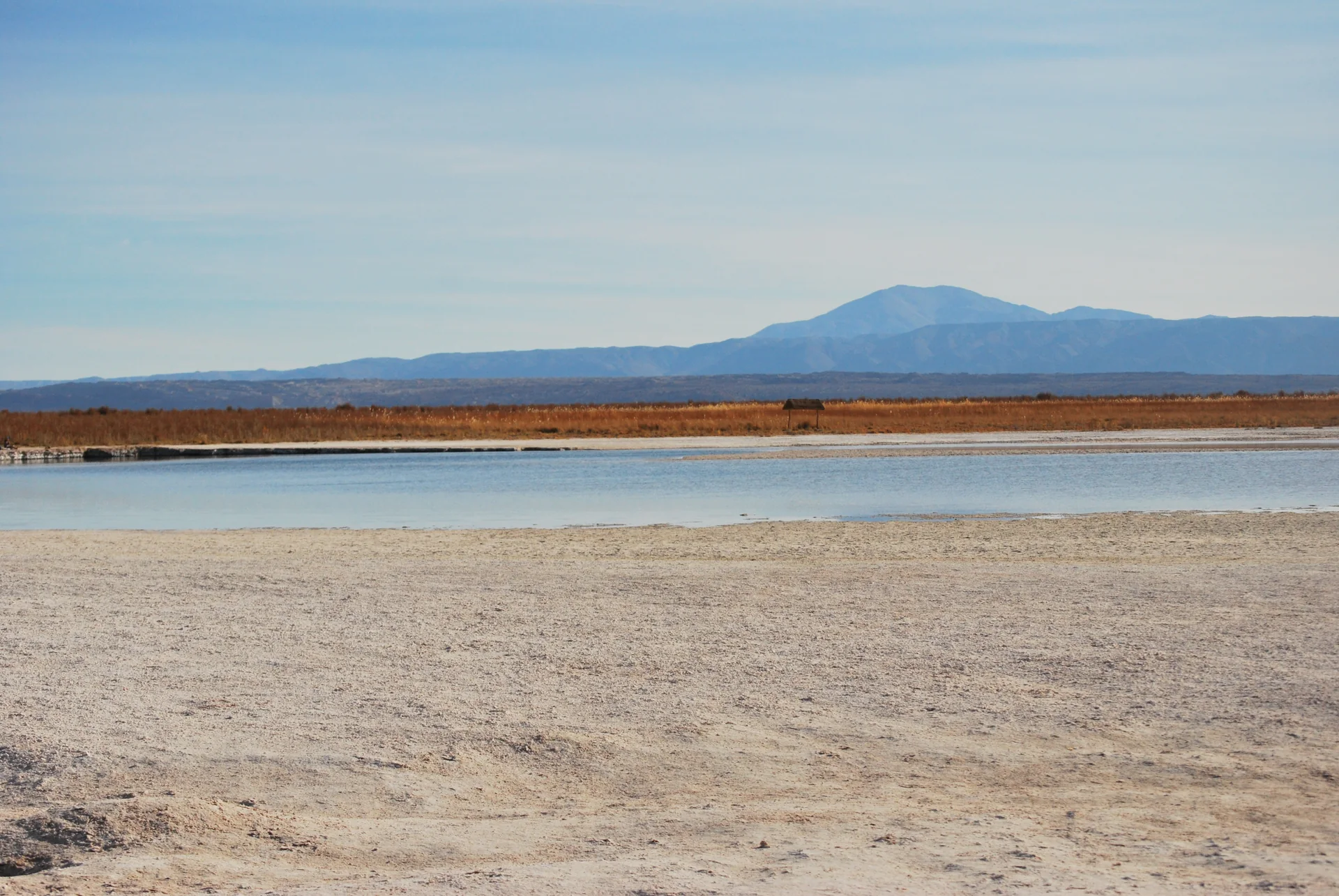 Laguna Piedra no Salar de Atacama, com água azul-esverdeada, borda de sal e montanhas sob céu claro.