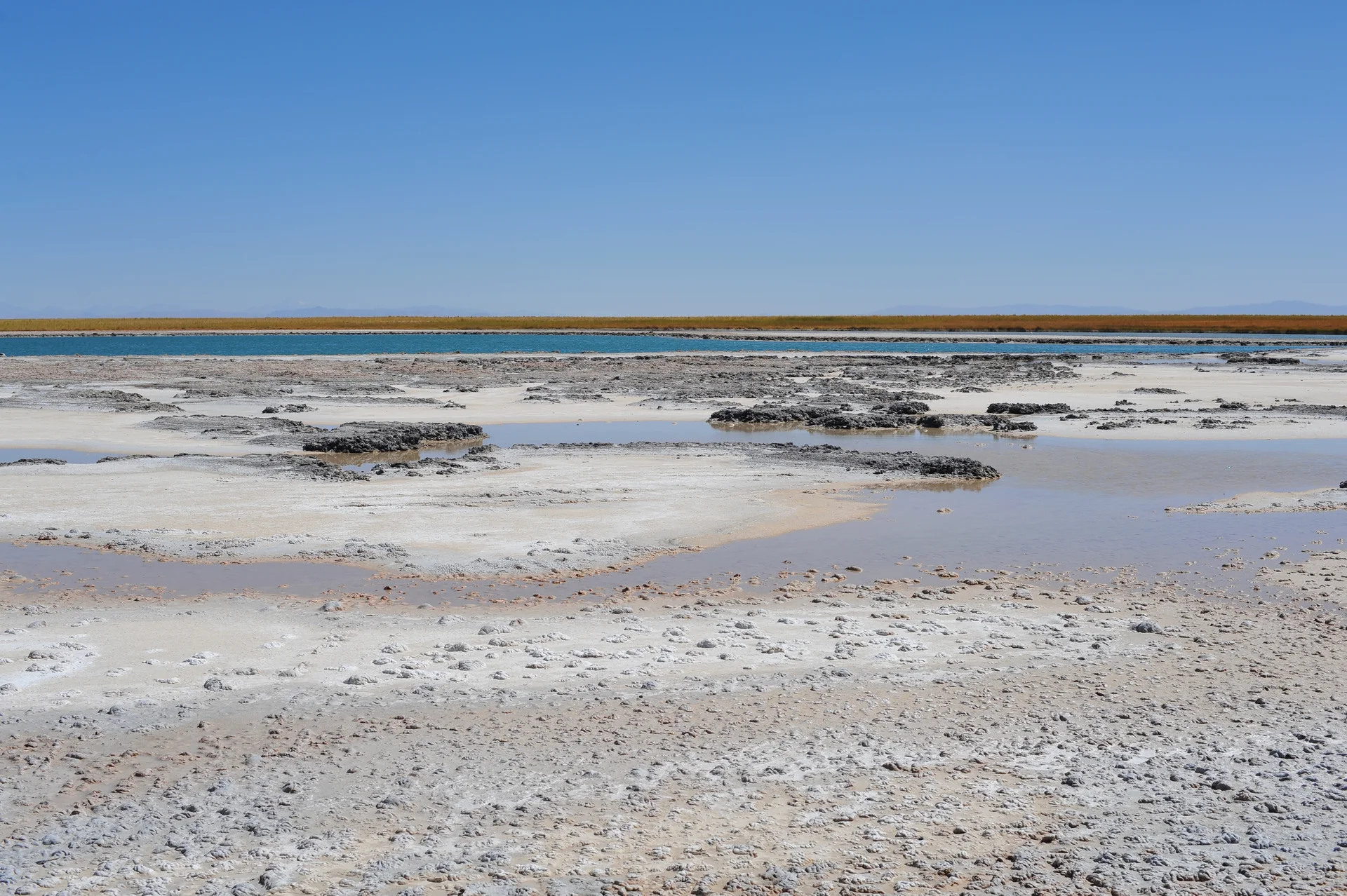 Crostas de sal e águas rasas de Laguna Cejar sob céu azul.