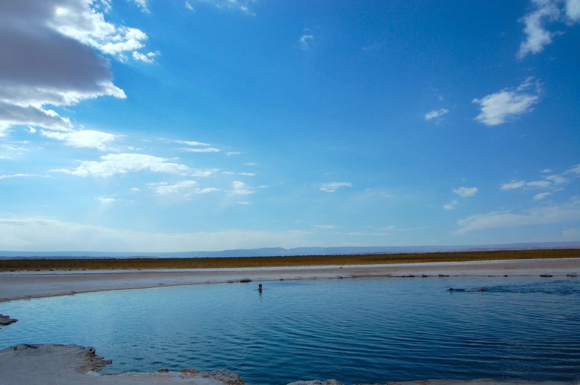 Água azul de Laguna Cejar junto à borda clara de sal, sob céu azul.