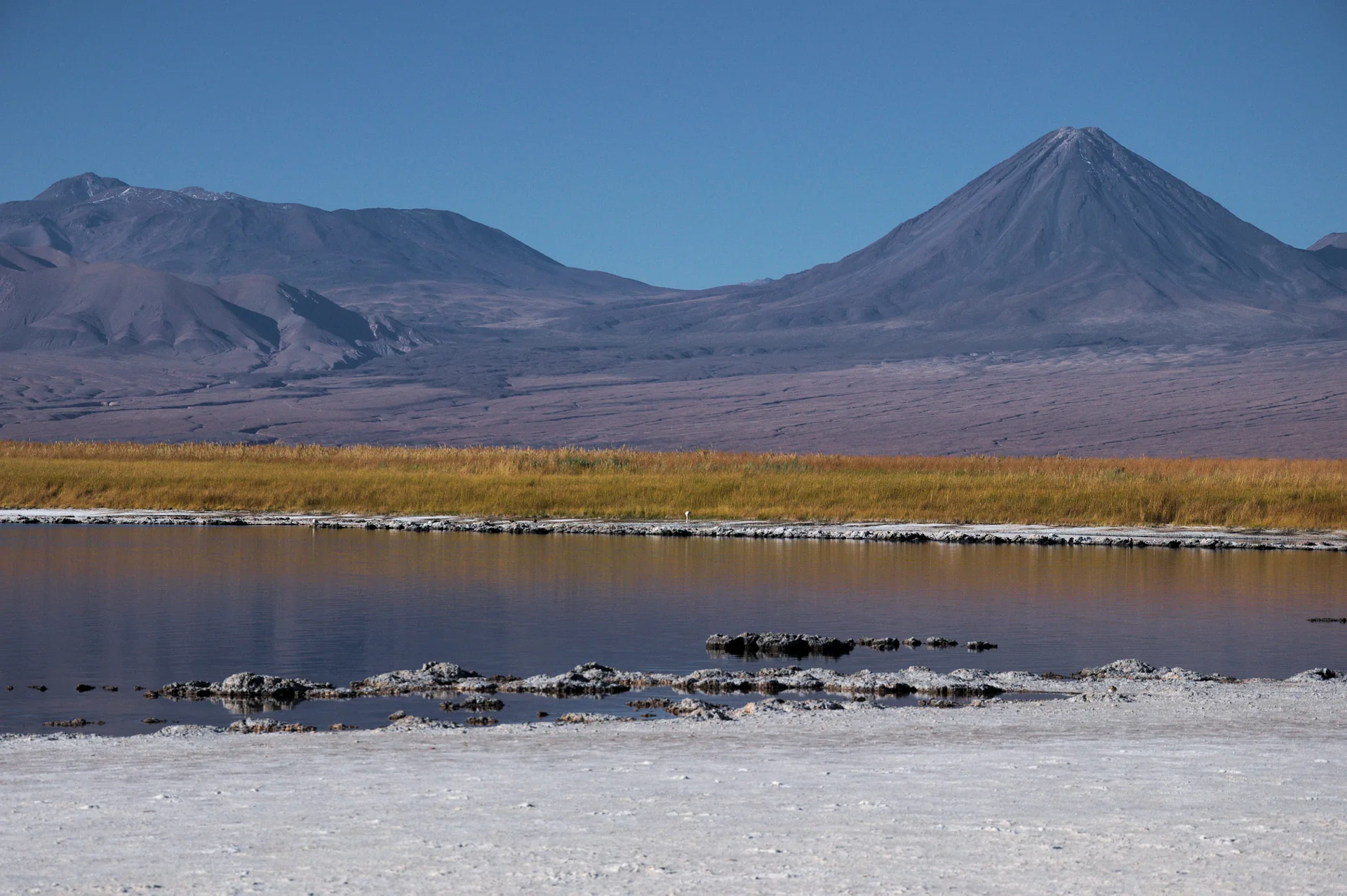 Laguna Cejar diante de montanhas áridas sob céu azul limpo.