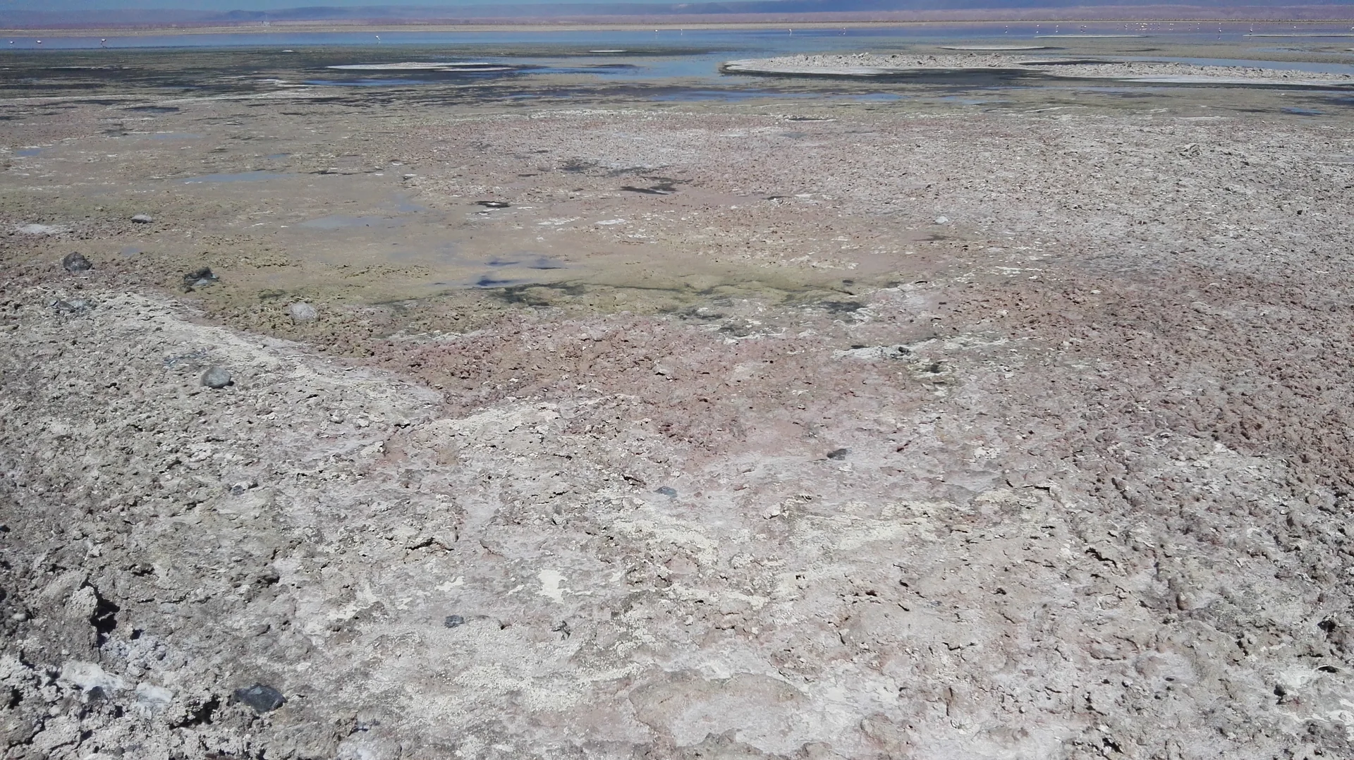 Crostas de sal e águas rasas da Laguna Chaxa no Sistema Hidrológico de Soncor.