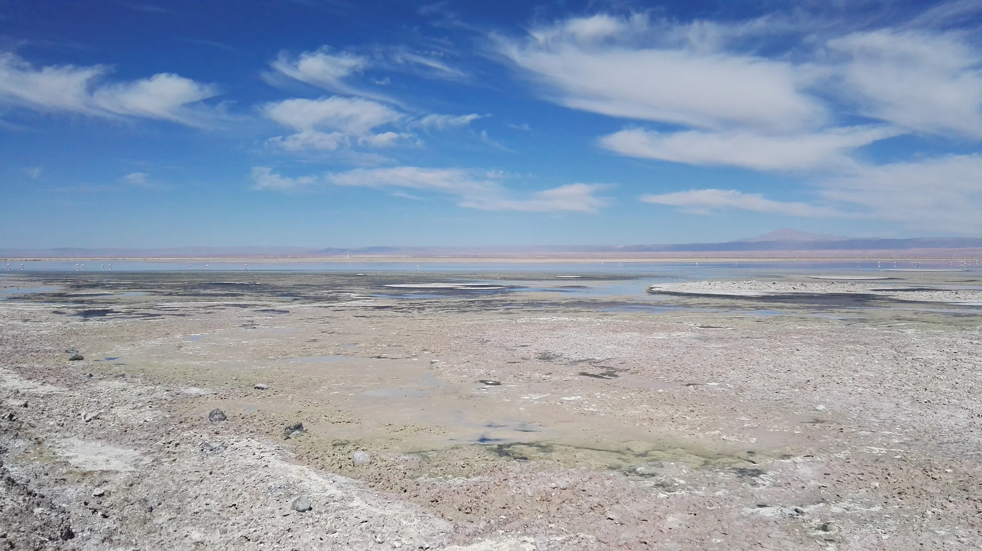 Vista aberta da Laguna Chaxa com crostas salinas, canais rasos e montanhas distantes.