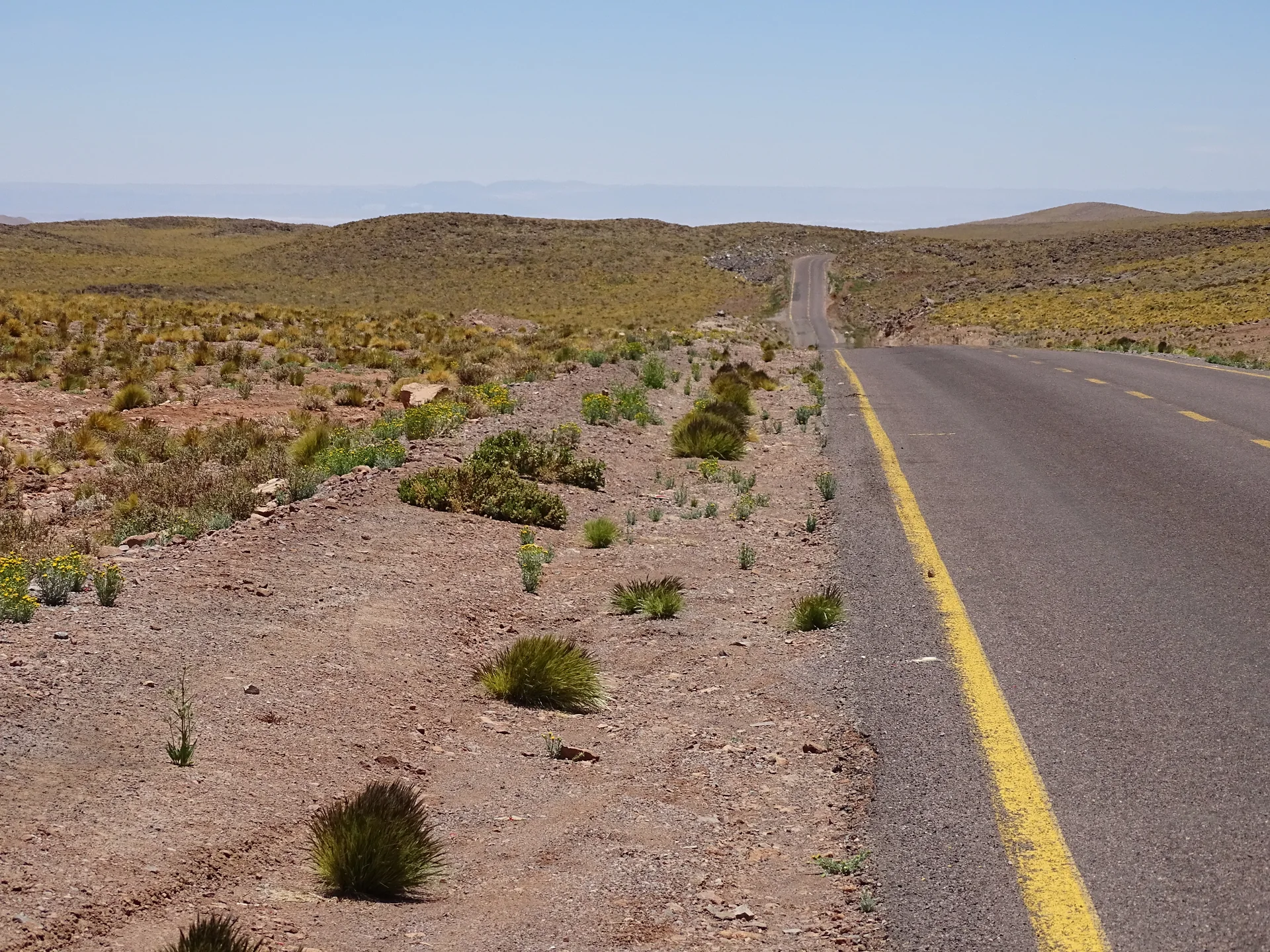 Estrada asfaltada da Ruta 23-CH atravessando vegetação baixa e relevo árido do altiplano sob céu azul.
