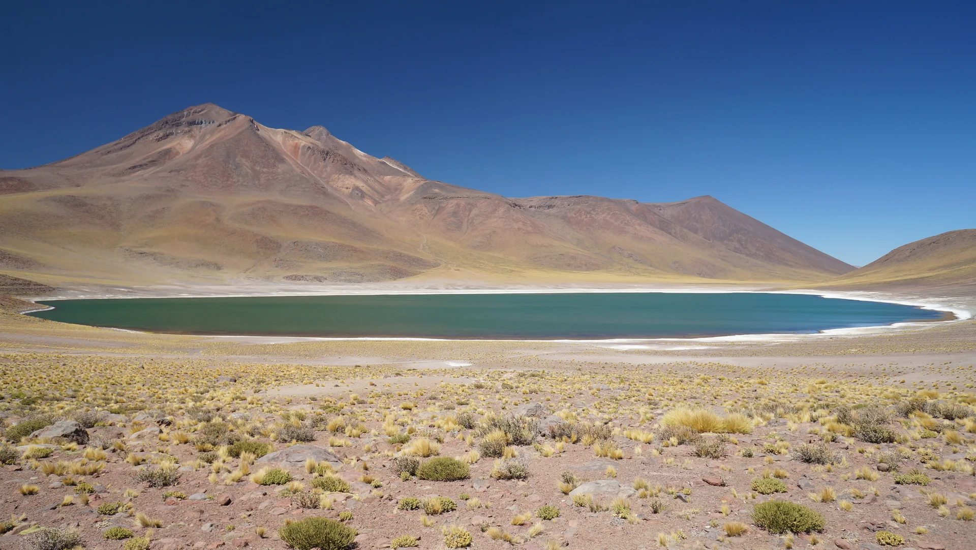 Laguna Miñiques de águas azul-esverdeadas diante de montanhas áridas sob céu azul intenso.