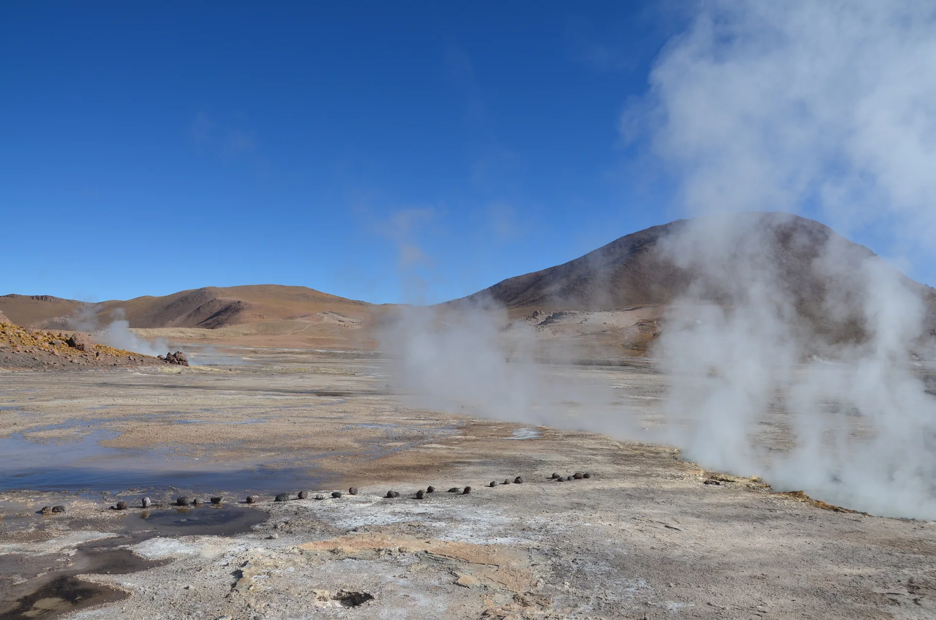 Colunas de vapor se elevam no campo geotérmico de El Tatio diante de montanhas do altiplano sob céu azul.