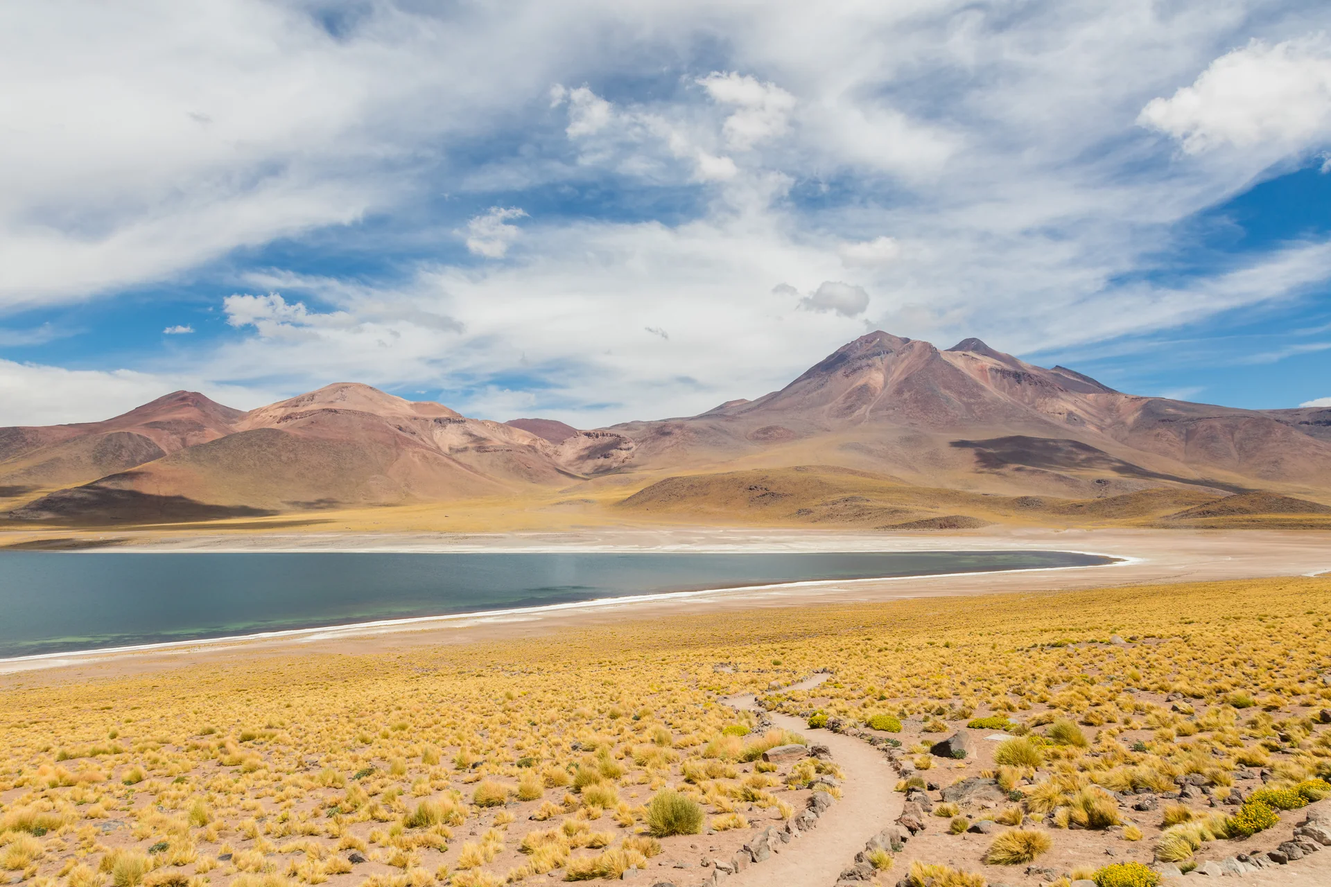 Laguna Miscanti de água azul entre vegetação baixa e montanhas do altiplano sob céu com nuvens claras.