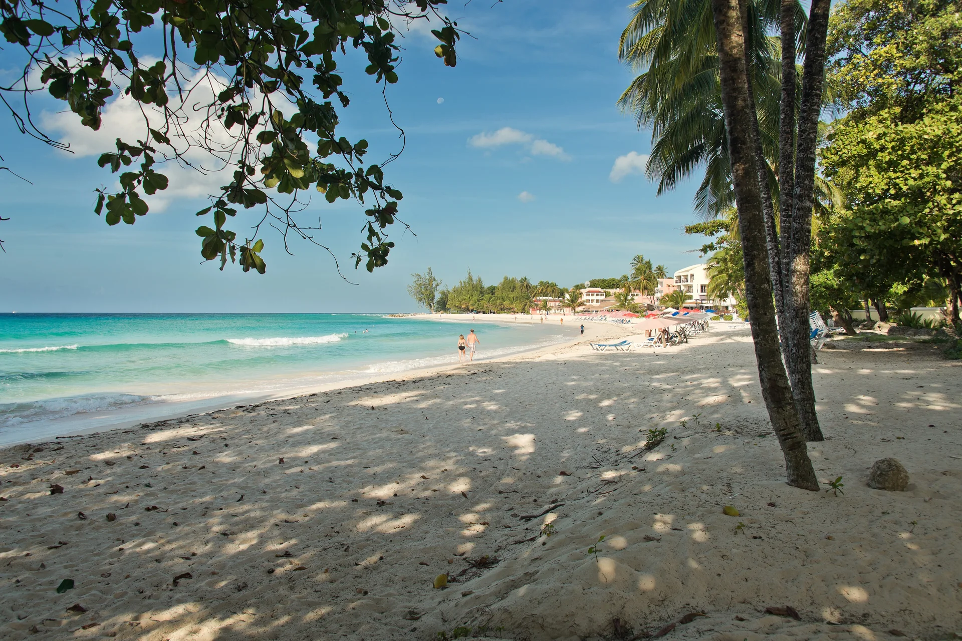 Dover Beach, na paróquia de Christ Church, com coqueiros, areia e ondas azuis em Barbados.