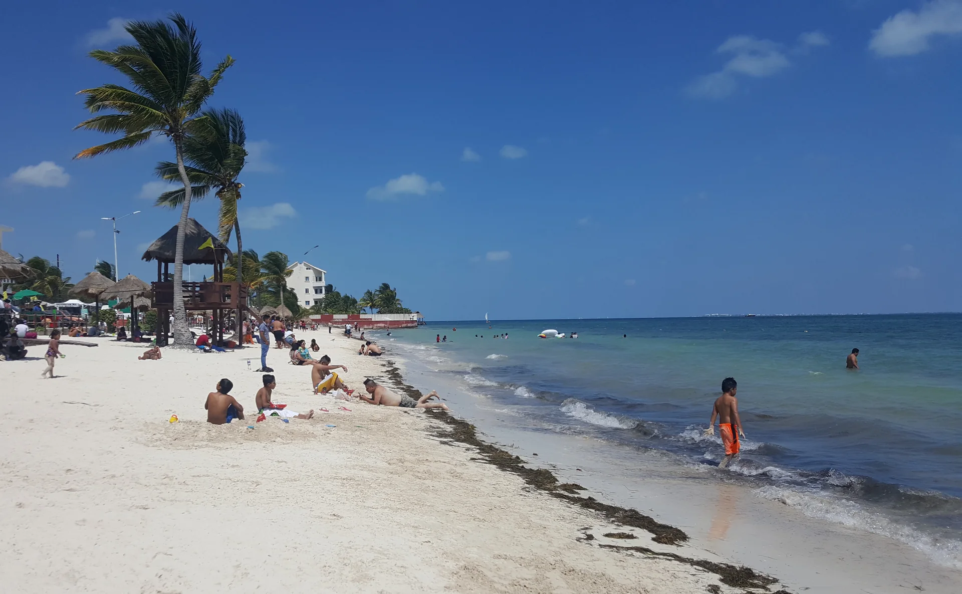 Praia de Cancún em dia claro, com areia, palmeira, banhistas e uma faixa de algas na beira do mar.