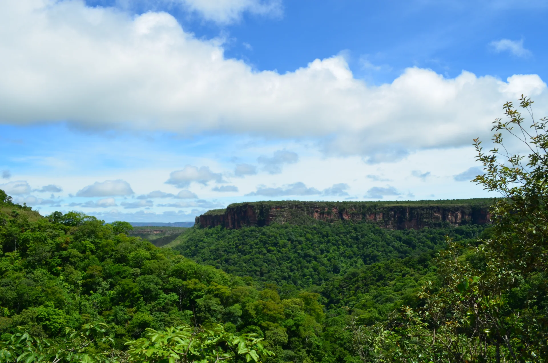 Vale verde do Parque Nacional da Chapada dos Guimarães visto entre paredões de arenito sob nuvens brancas.