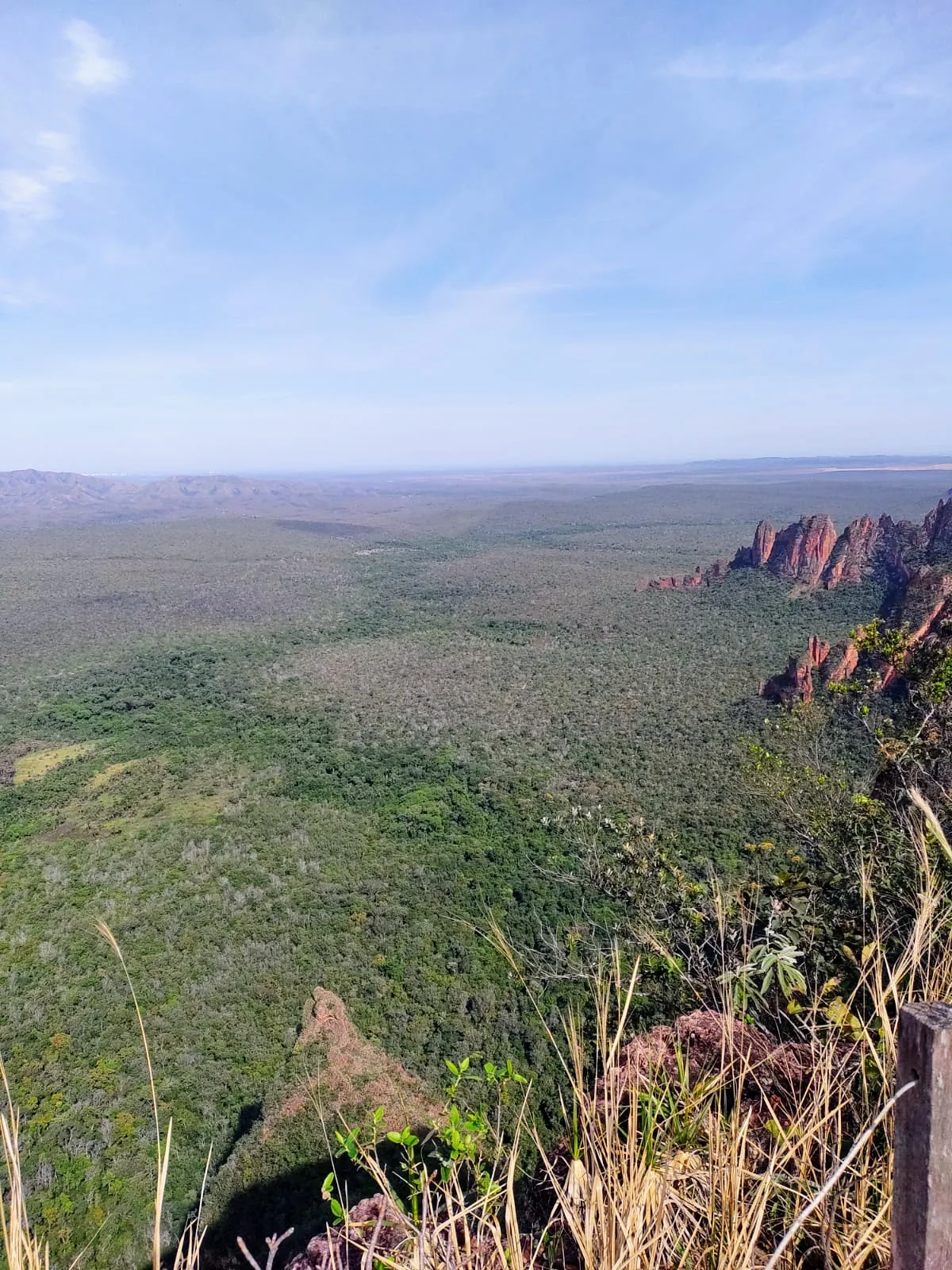 Formações rochosas avermelhadas da Cidade de Pedra surgem acima da vegetação do Parque Nacional da Chapada dos Guimarães.