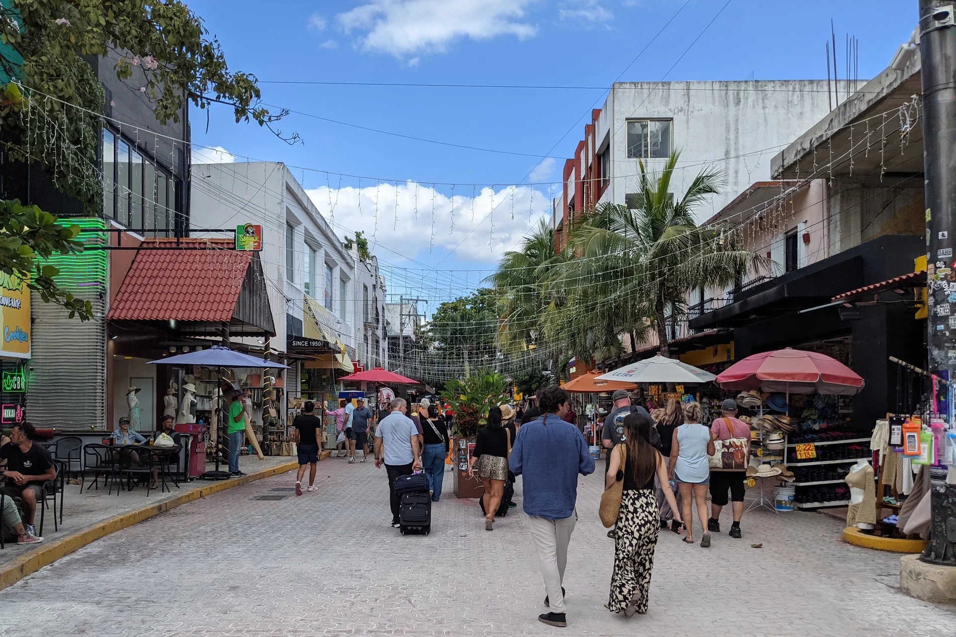 Pessoas caminham pela Quinta Avenida de Playa del Carmen durante o dia, entre comércio, palmeiras e fachadas.