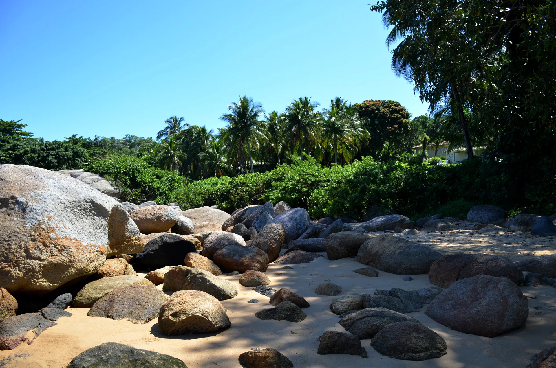 Rochas, areia e vegetação junto à Praia do Julião, em Ilhabela, sob céu azul e luz natural.