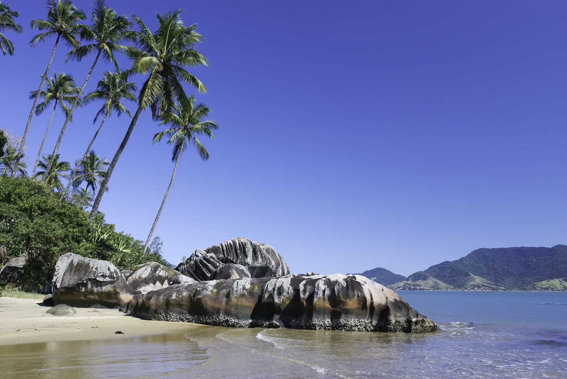 Formação rochosa arredondada, palmeiras, areia e mar azul na Praia do Sino, em Ilhabela, em dia ensolarado.