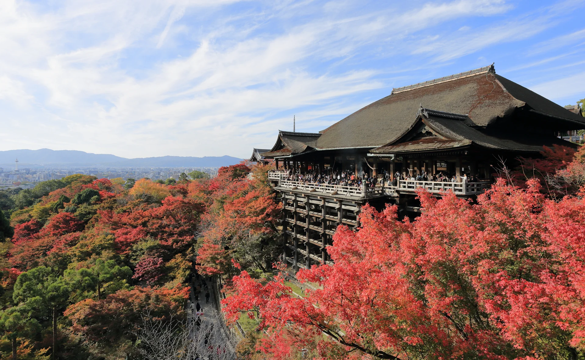 Edifício principal do Kiyomizu-dera entre árvores com folhagem de outono, visto de área aberta ao público em Quioto.
