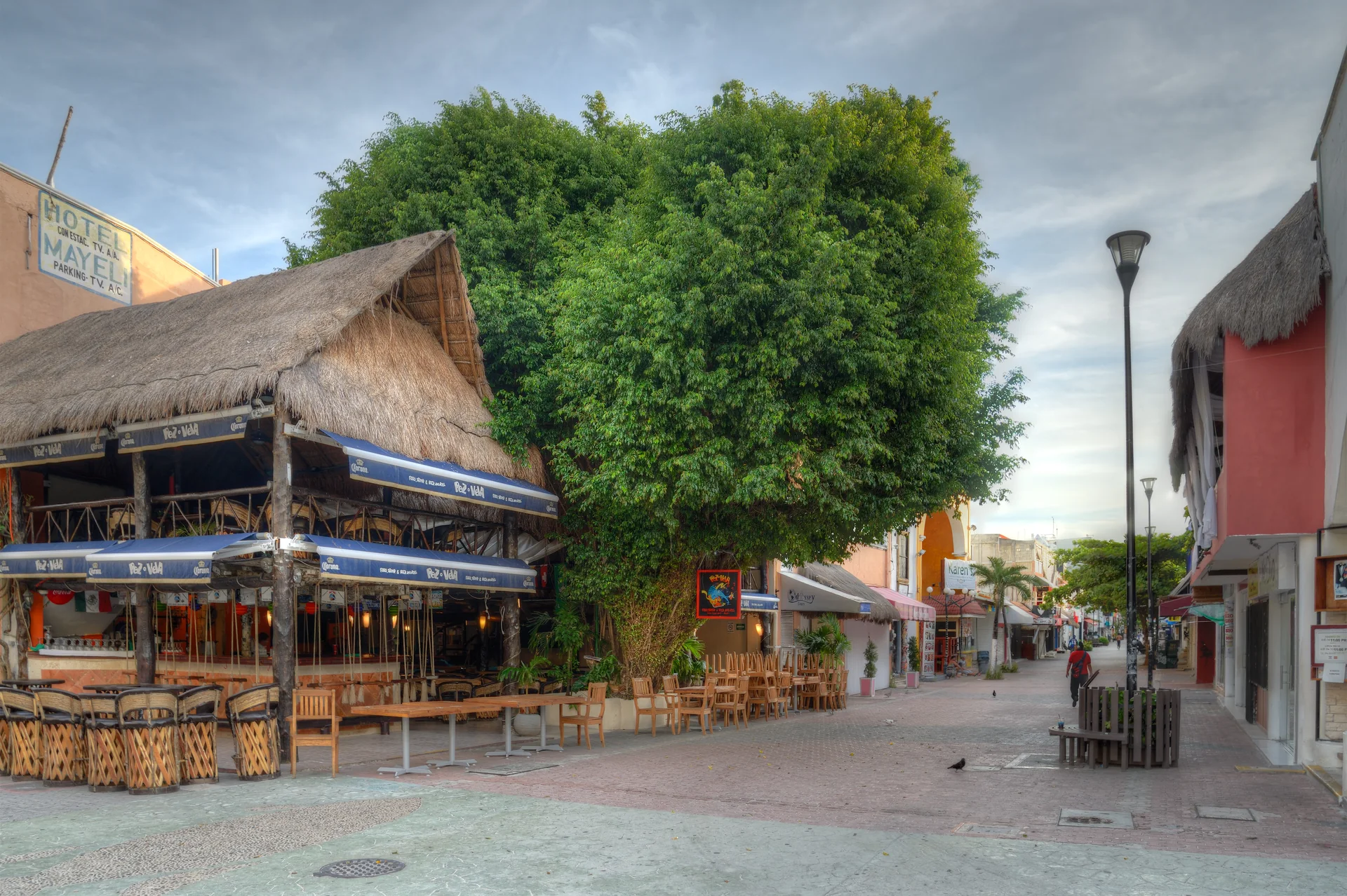 Trecho arborizado e diurno da Quinta Avenida, em Playa del Carmen, com comércio local e poucos pedestres ao fundo.