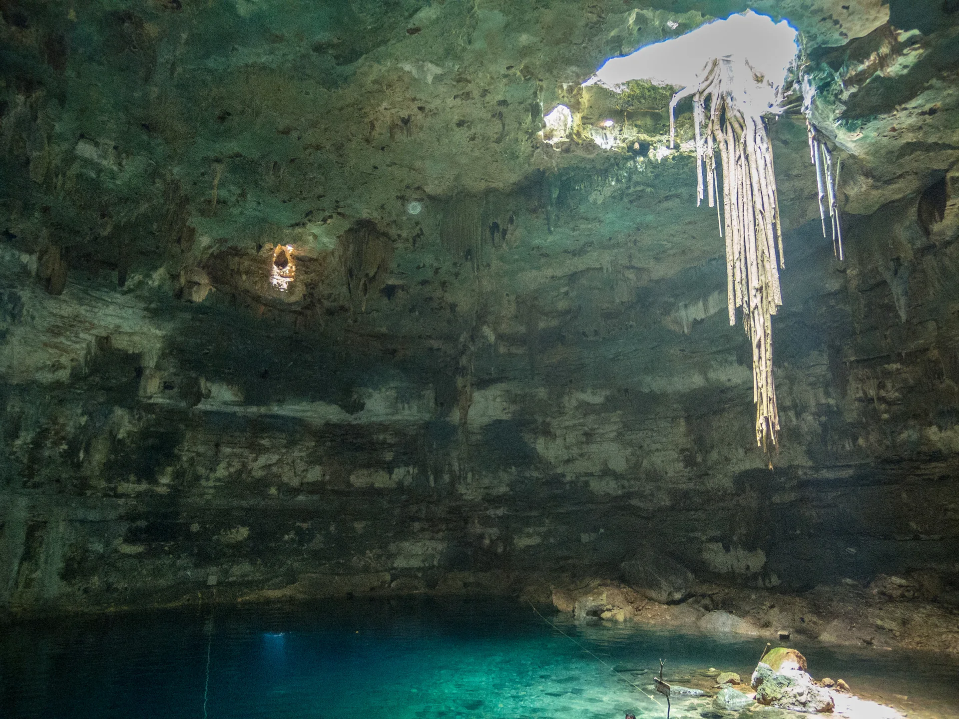 Abertura de luz natural ilumina água azul, rocha calcária e raízes suspensas no Gran Cenote, em Tulum.