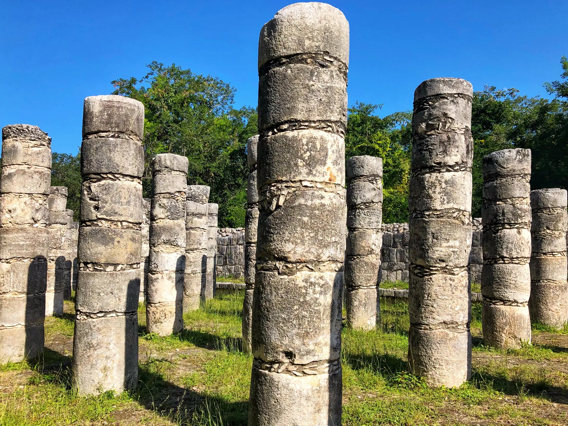 Colunas de pedra do Grupo das Mil Colunas em Chichén Itzá, cercadas por vegetação baixa sob céu azul intenso.