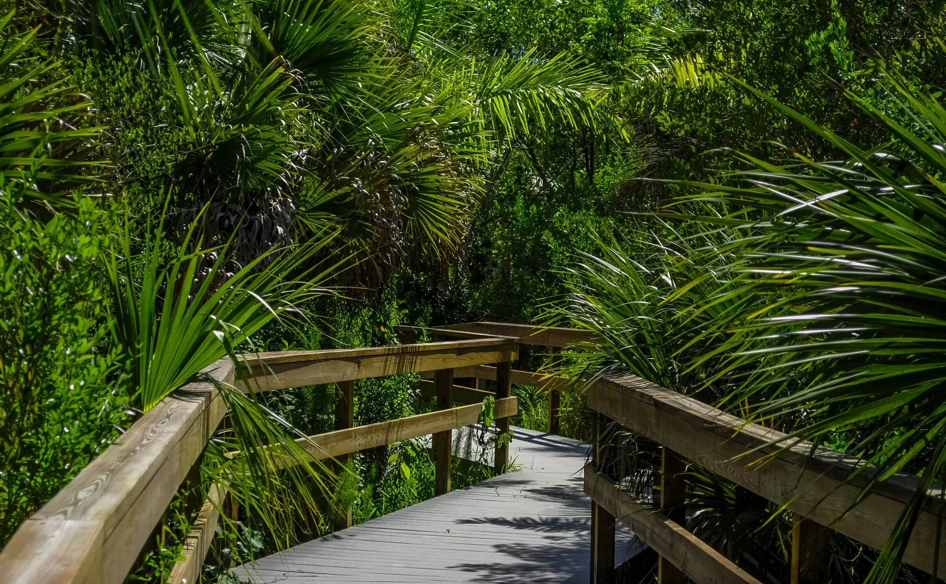 Passarela de madeira atravessa a vegetação costeira em direção a uma praia de Sanibel.