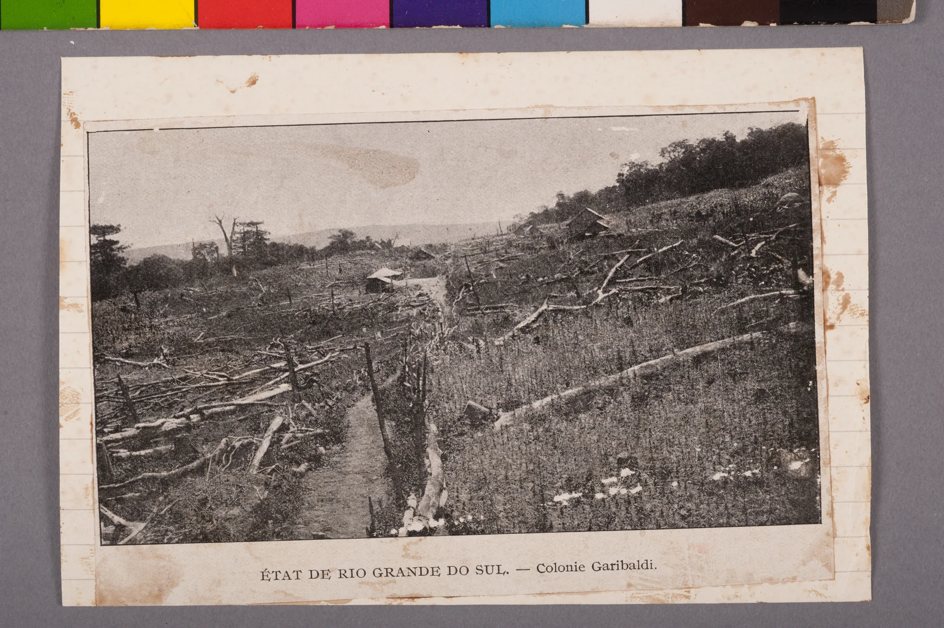Gravura histórica identificada como Colonie Garibaldi, mostrando encosta desmatada, caminhos e pequenas construções rurais.