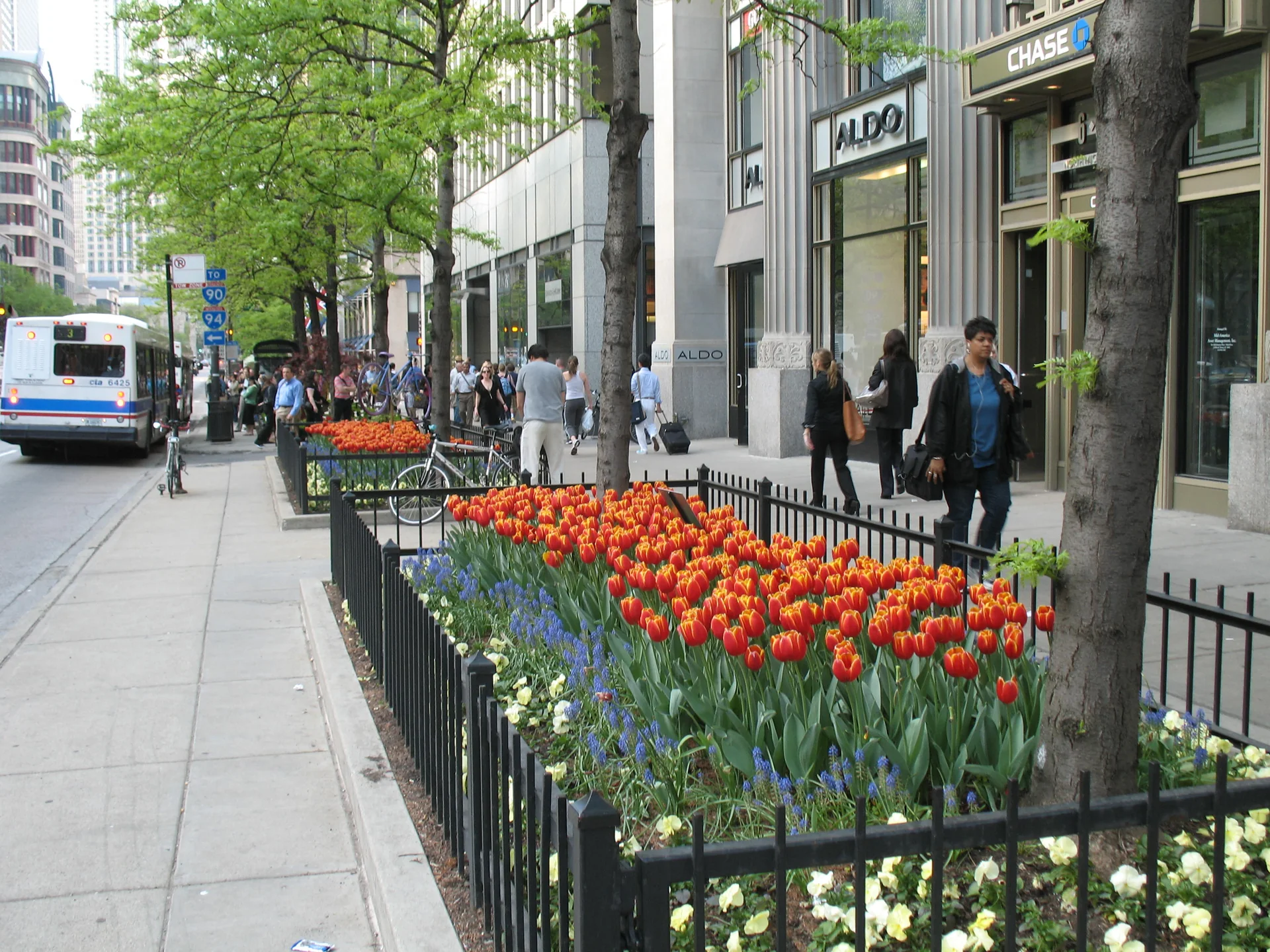 Calçada arborizada da Magnificent Mile em Chicago, com tulipas vermelhas, pedestres e um ônibus da CTA durante o dia.