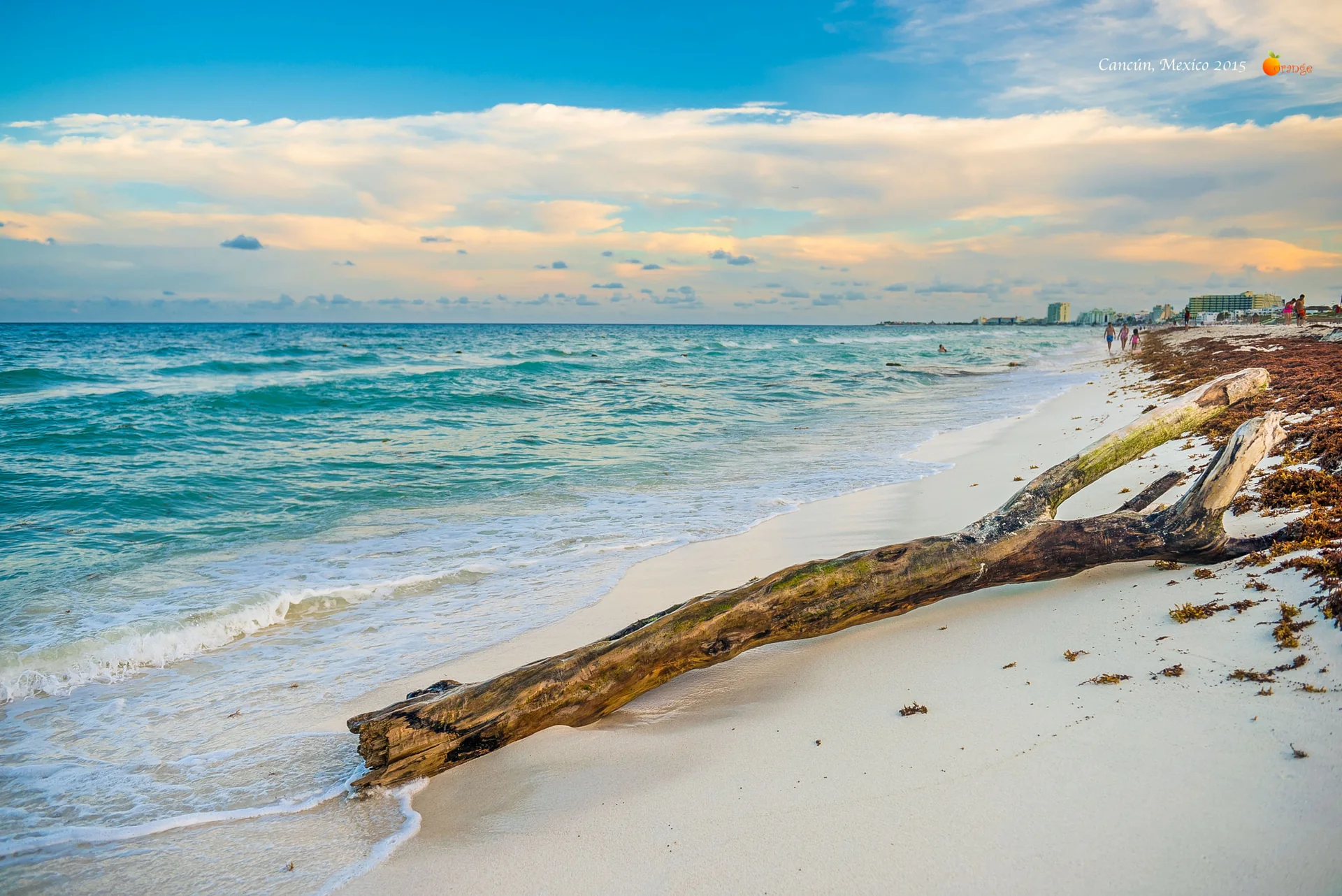 Mar do Caribe e faixa de areia em Cancún sob luz diurna, com acúmulos de algas na borda da praia.