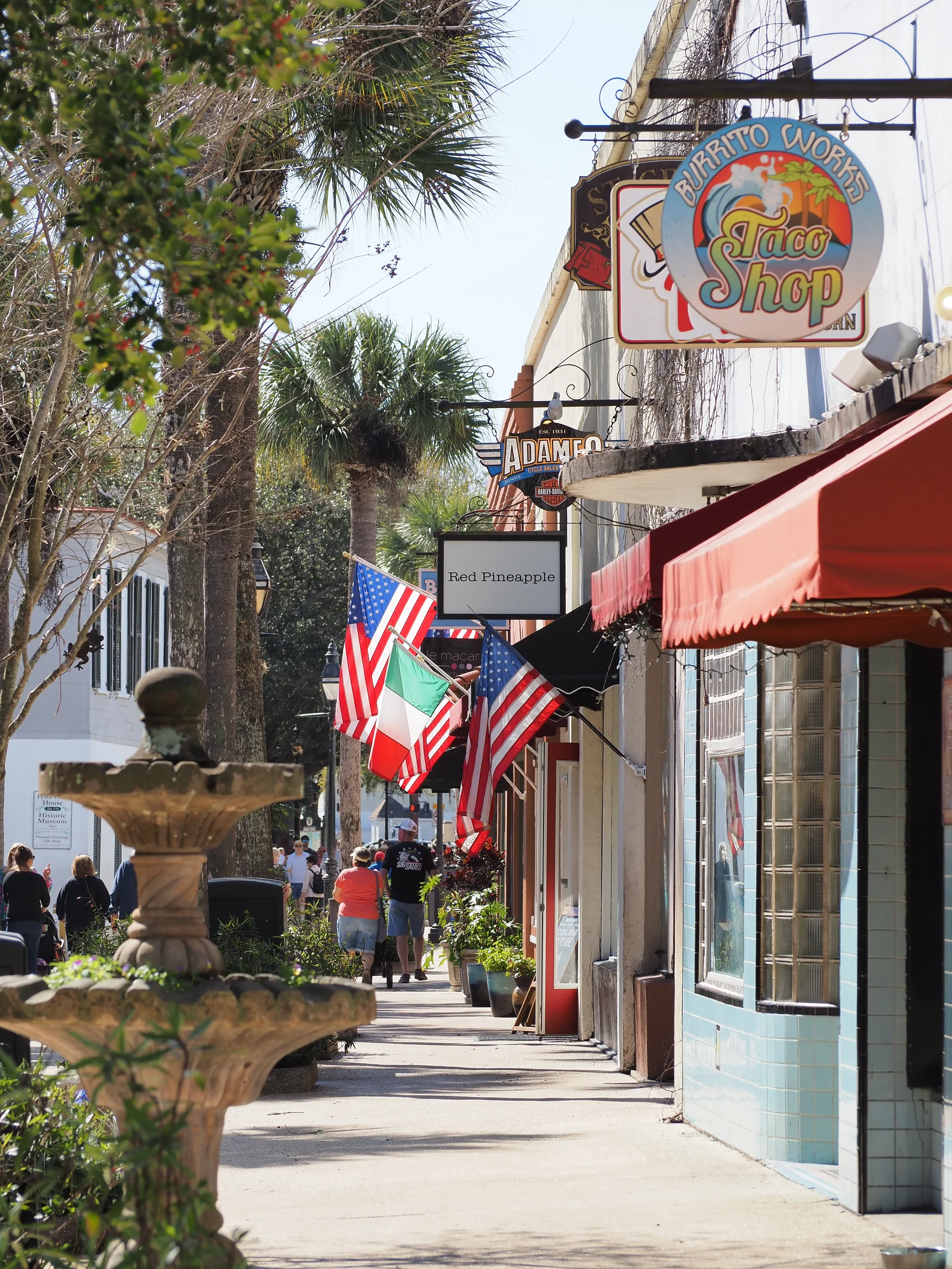 Calçada da St. George Street em St. Augustine, com fachadas históricas, palmeiras, bandeiras e pedestres em luz diurna.