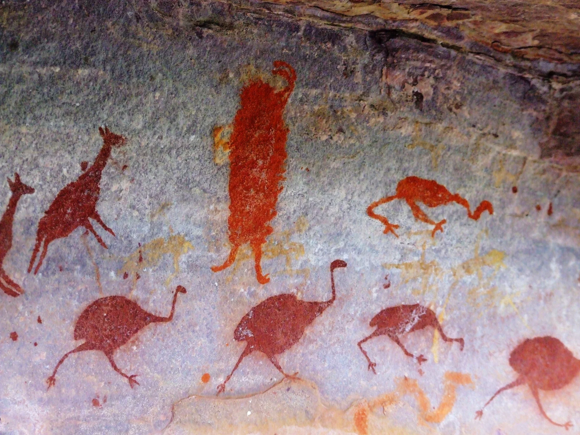 Detalhe de painel de pinturas rupestres em abrigo rochoso da Chapada Diamantina Norte, com figuras humanas e animais em pigmento vermelho sobre a pedra.