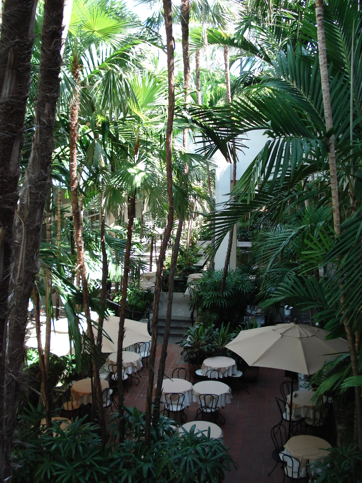 Jardim tropical interno do Bal Harbour Shops, com palmeiras, mesas e circulação entre volumes brancos.