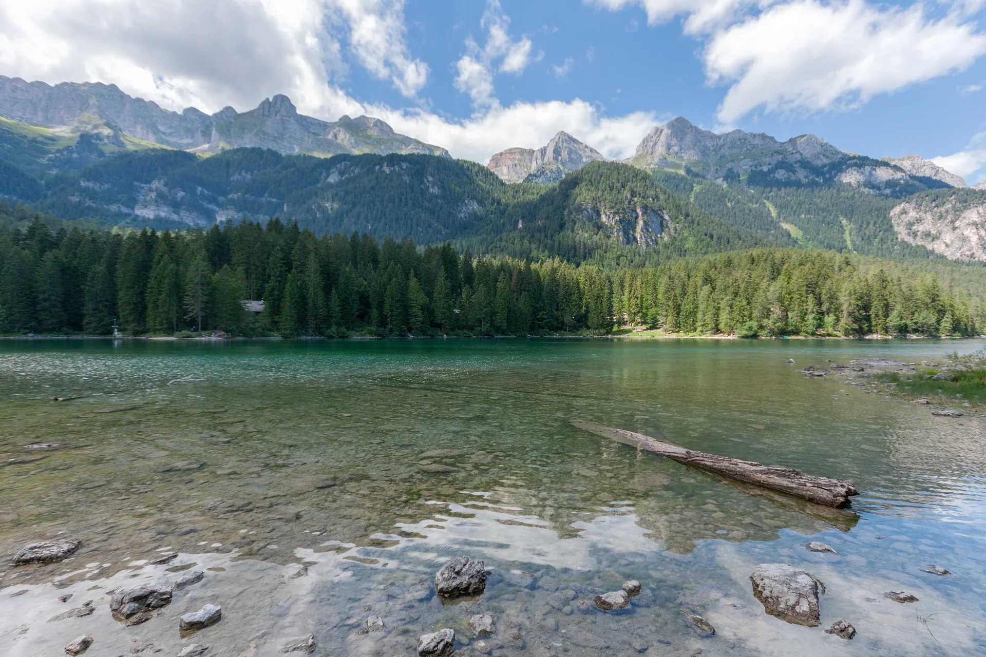 Lago di Tovel em agosto, visto da margem em Trentino, com água verde, floresta e montanhas ao fundo.