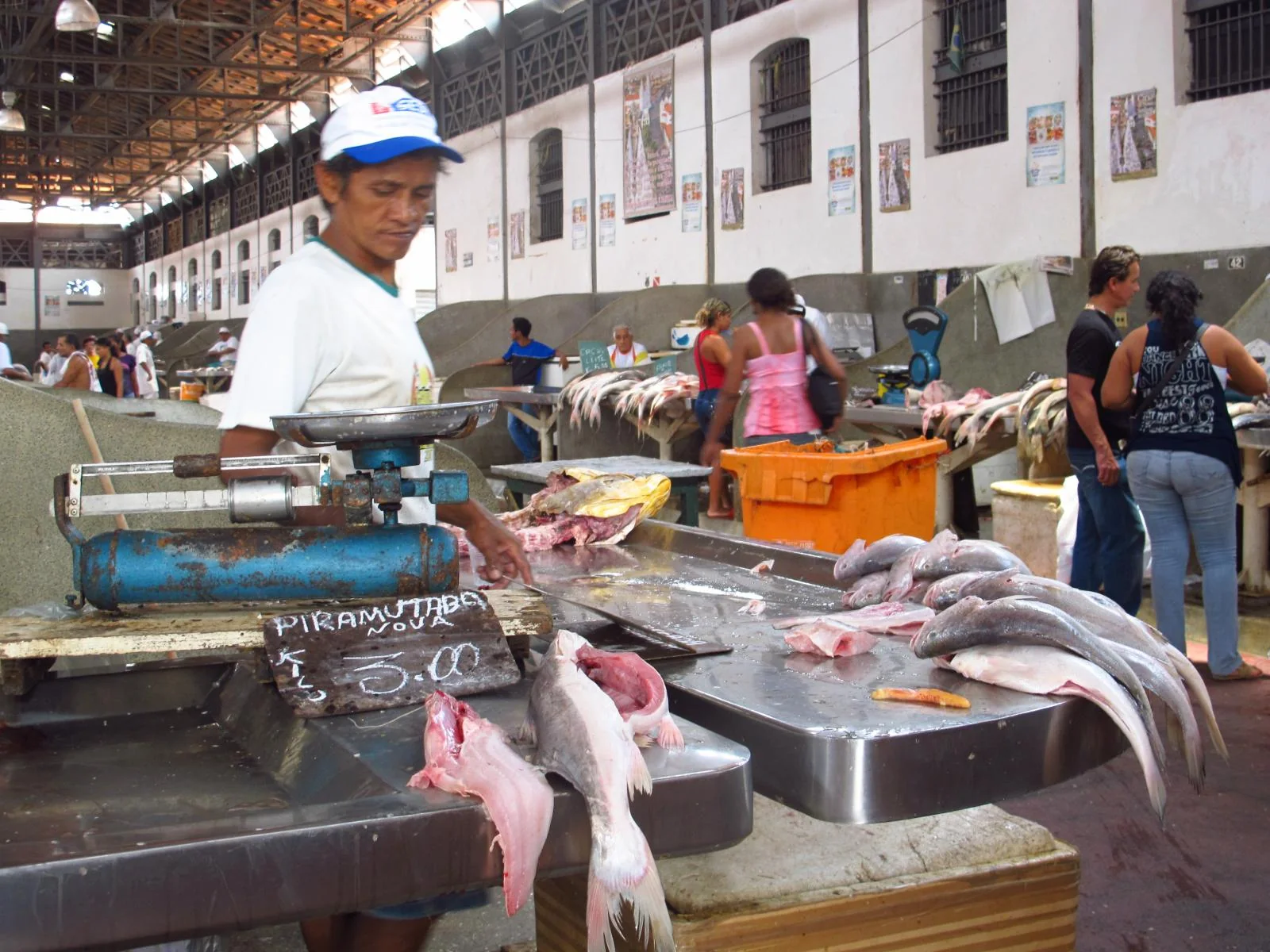 Vendedor ao lado de peixes expostos em balcão de uma banca do Mercado do Ver-o-Peso, em Belém.