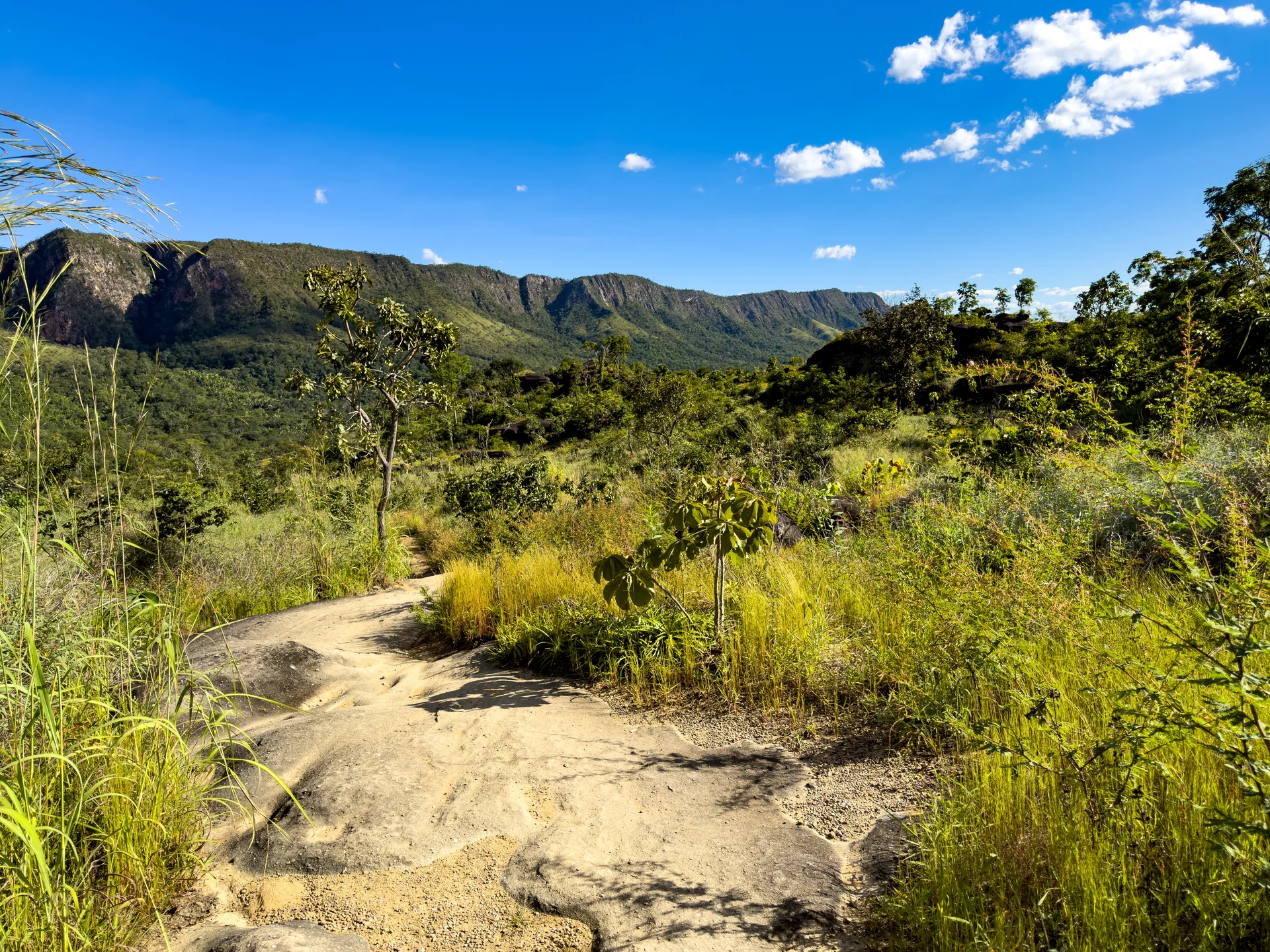 Vegetação do Cerrado e serras da Chapada dos Veadeiros vistas de uma trilha, sob céu azul com poucas nuvens.