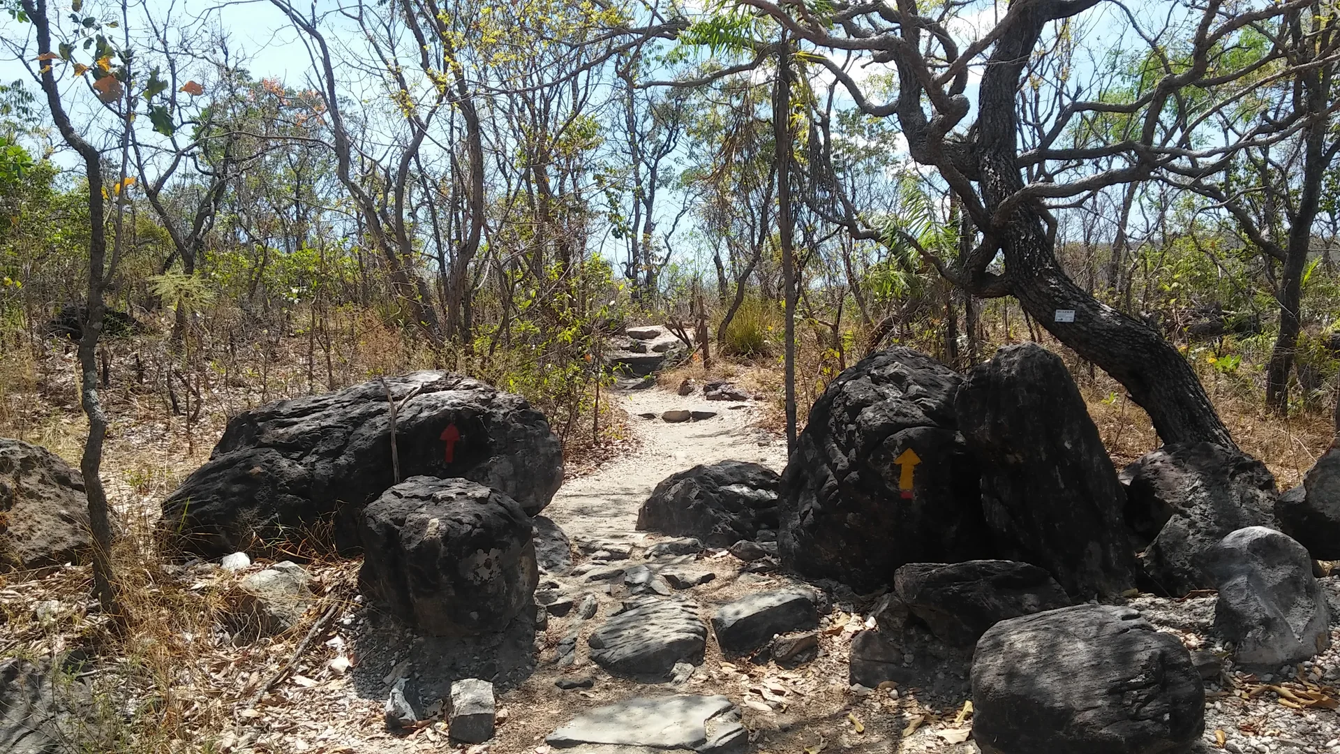 Trecho de trilha sinalizada entre rochas e árvores do Cerrado no Parque Nacional da Chapada dos Veadeiros, em plena luz do dia.