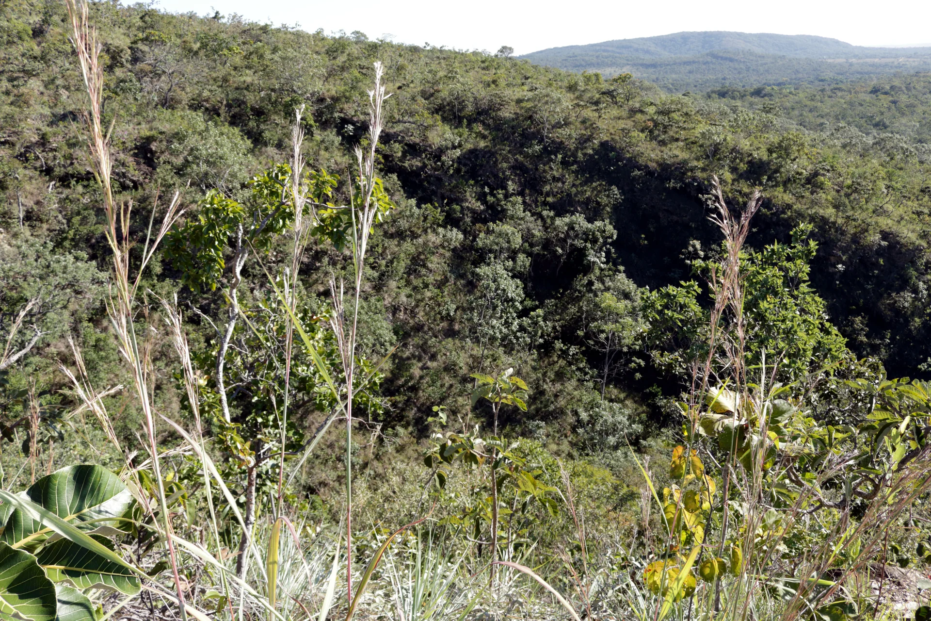 Vegetação do Cerrado e relevo verde da Serra de Caldas, no Parque Estadual da Serra de Caldas Novas, em luz diurna.