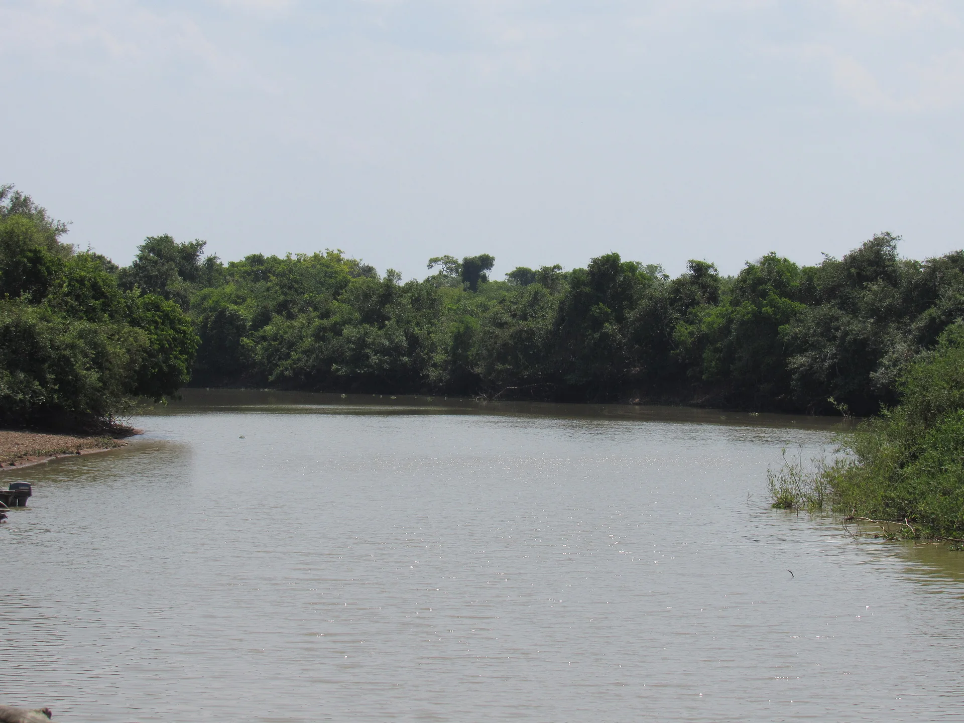 Mato Grosso