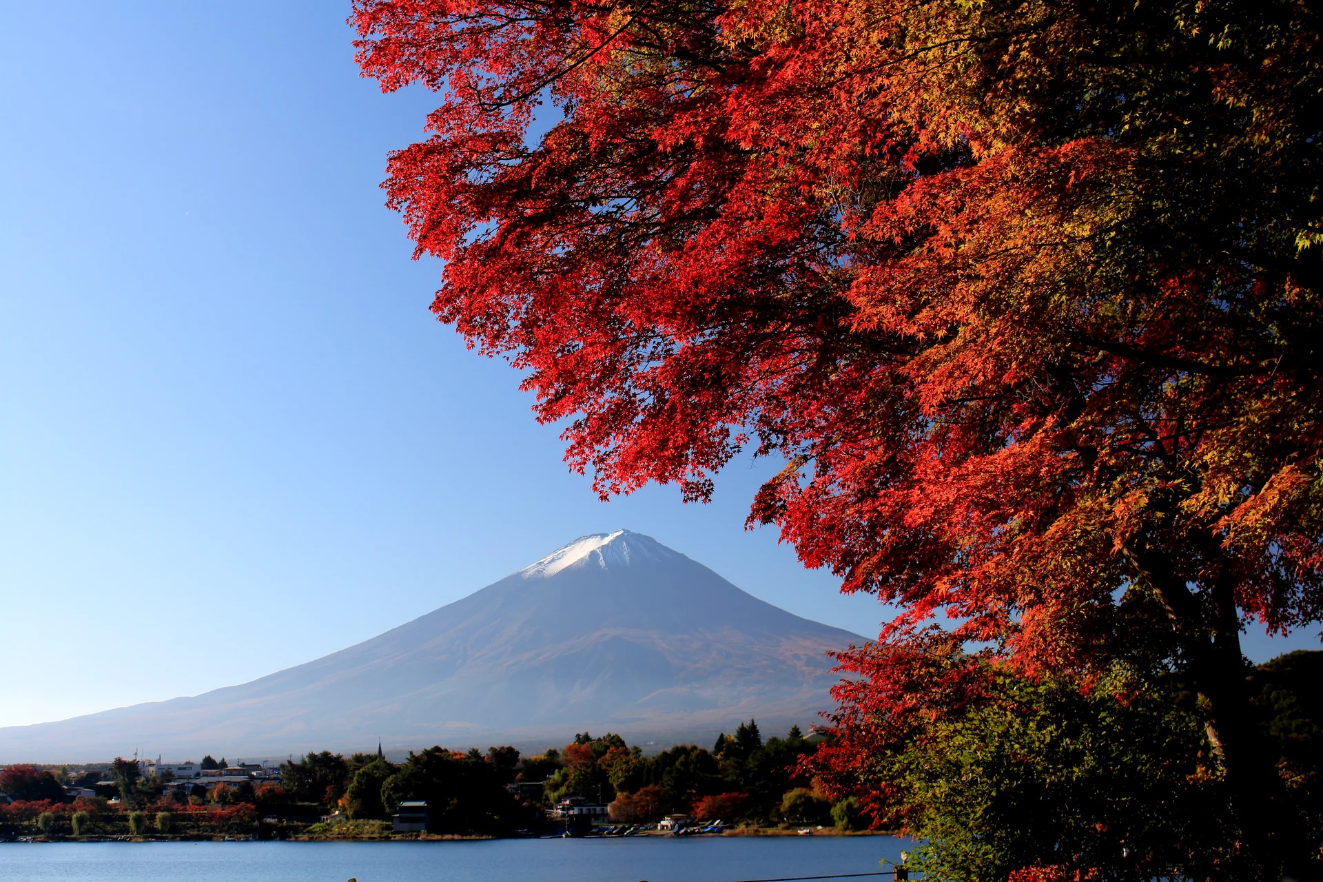 Monte Fuji visto sobre o Lago Kawaguchi, com folhas de outono vermelhas em primeiro plano.