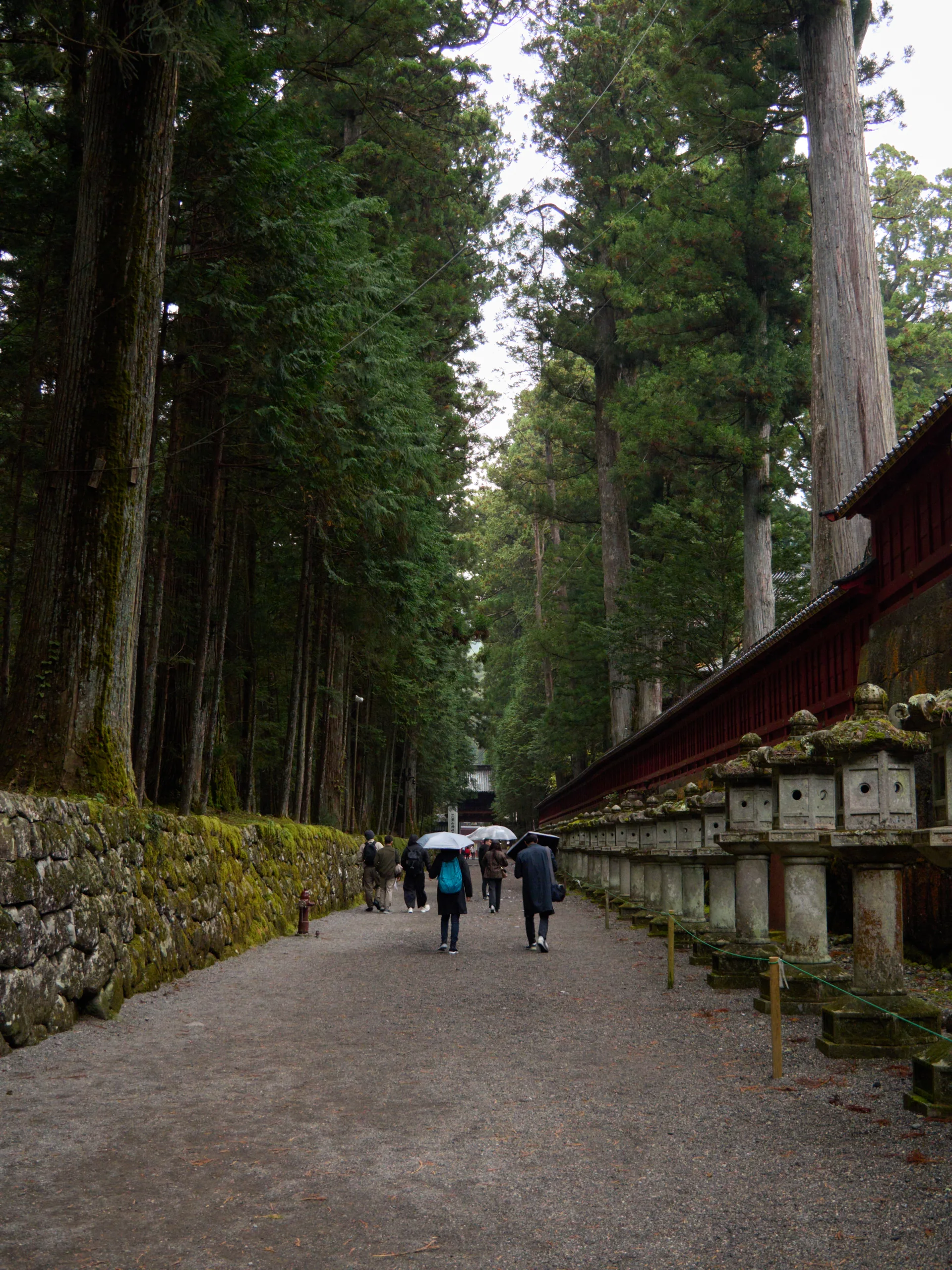 Caminho de acesso no Santuário Toshogu, com lanternas de pedra, parede vermelha e cedros altos; visitantes caminham discretamente.