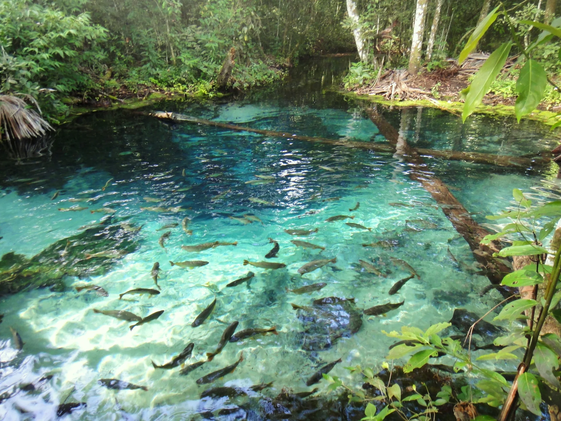Nobres, Mato Grosso