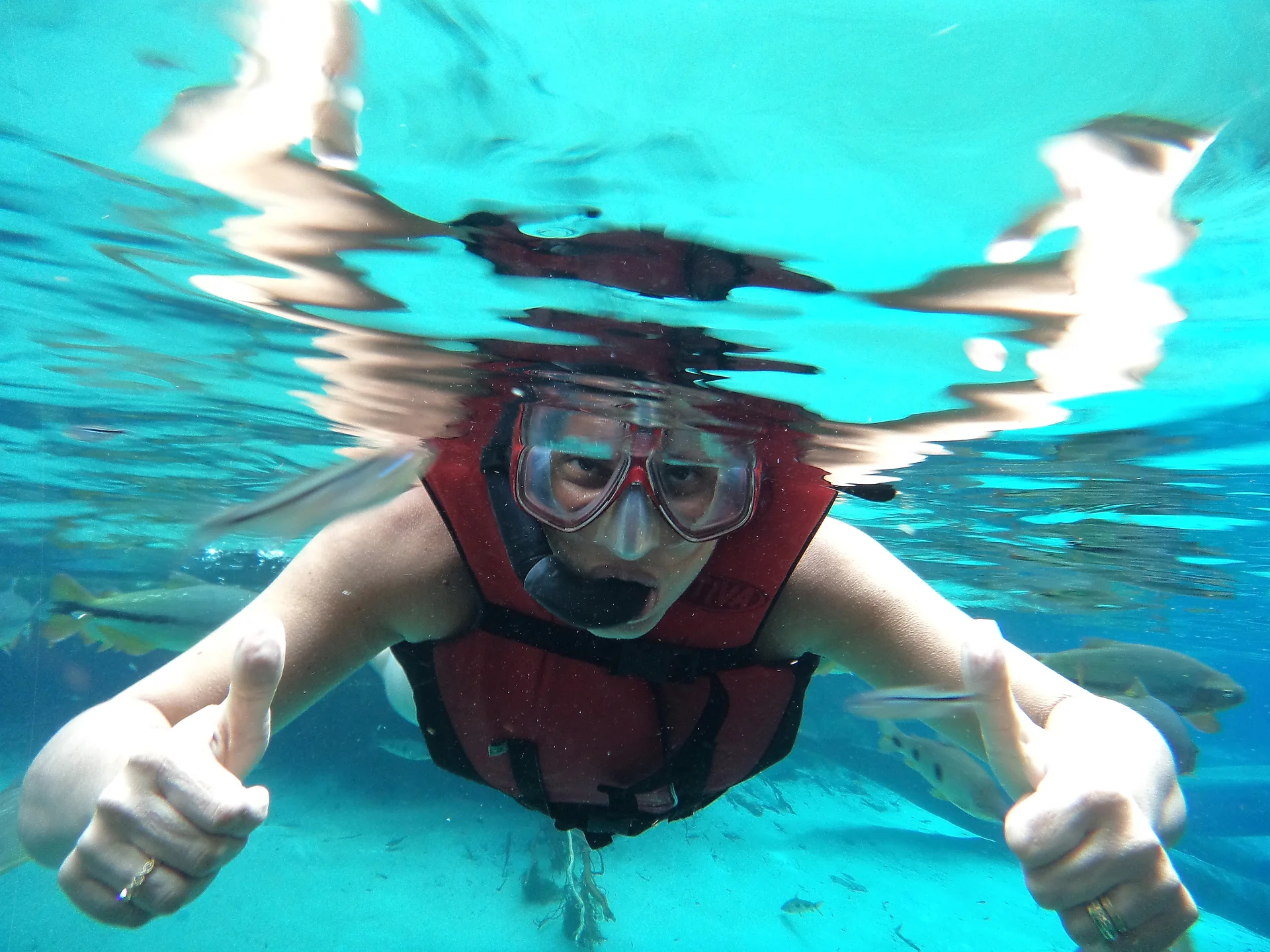 Visitante com colete, máscara e snorkel flutua no Aquário Encantado, em Nobres, com peixes ao redor.