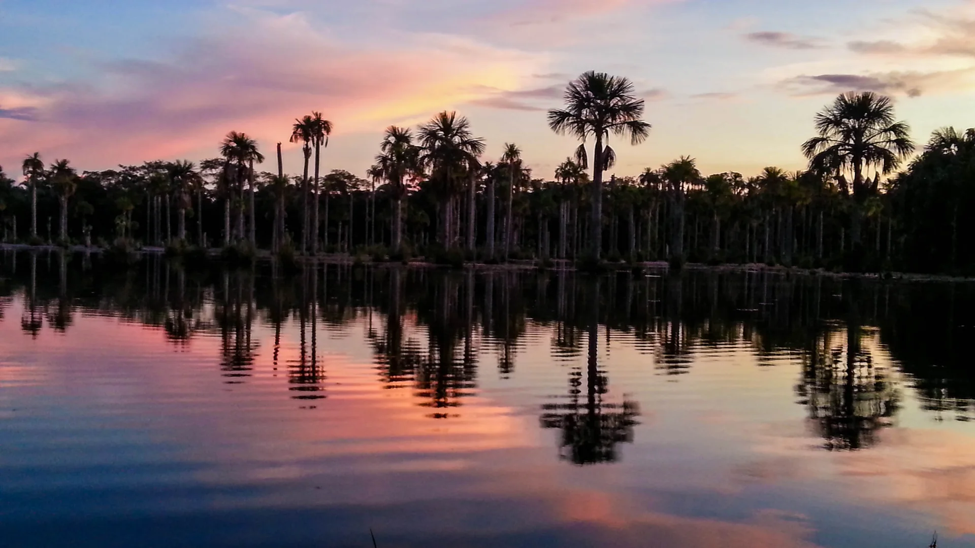Lagoa das Araras em Nobres, com buritis altos refletidos na água sob luz natural de fim de tarde.