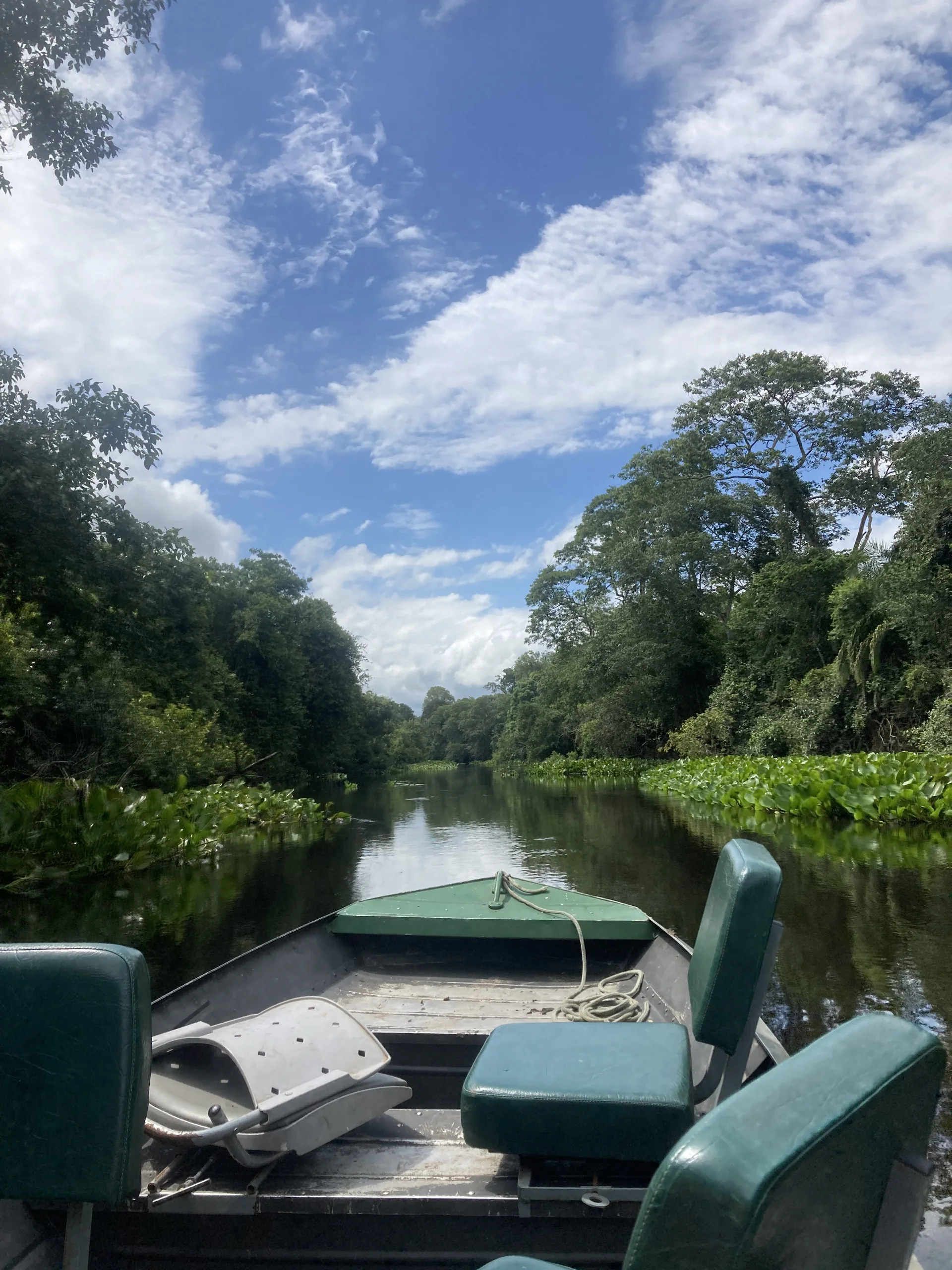 Proa e assentos vazios de uma pequena embarcação navegando em canal tranquilo do Rio Miranda, ladeado por vegetação do Pantanal.