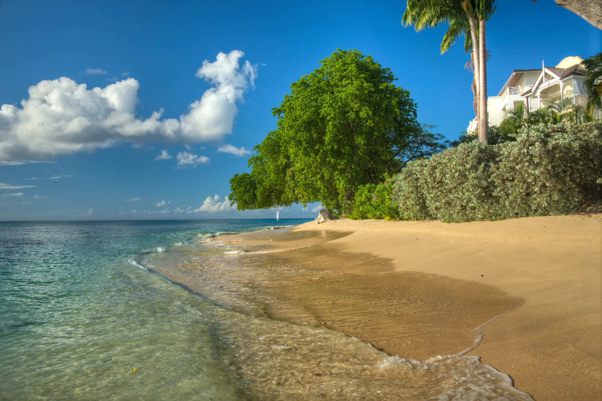 Praia pública da costa oeste de Barbados em dia claro, com faixa de areia clara, mar em condição real e vegetação tropical ao fundo.