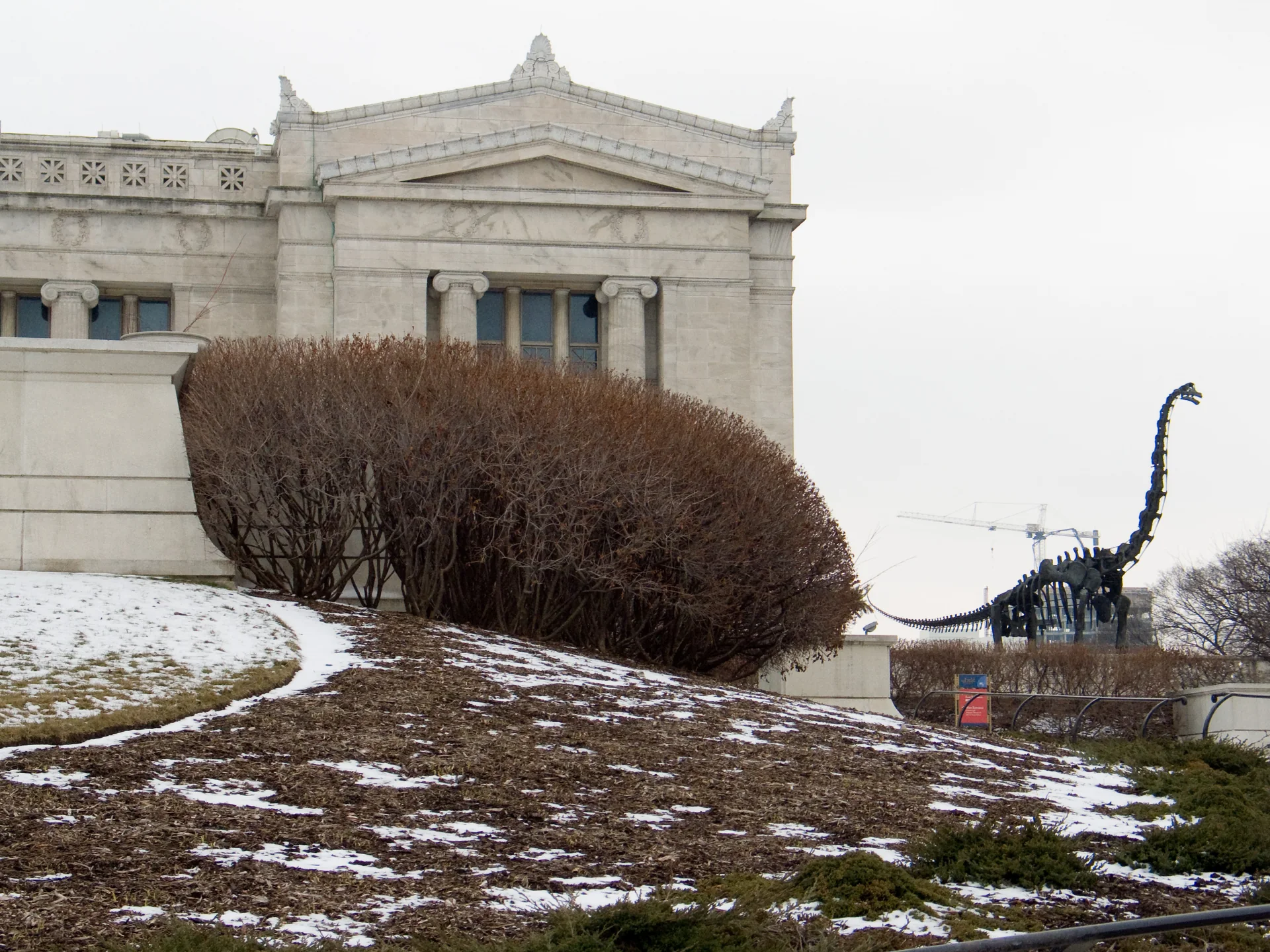 Fachada norte do Field Museum, com réplica de esqueleto de dinossauro do lado externo, em luz diurna.
