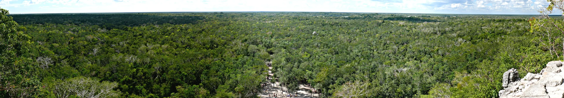 Panorama da floresta de Quintana Roo visto de Nohoch Mul, com o caminho do sítio arqueológico seguindo entre as copas.