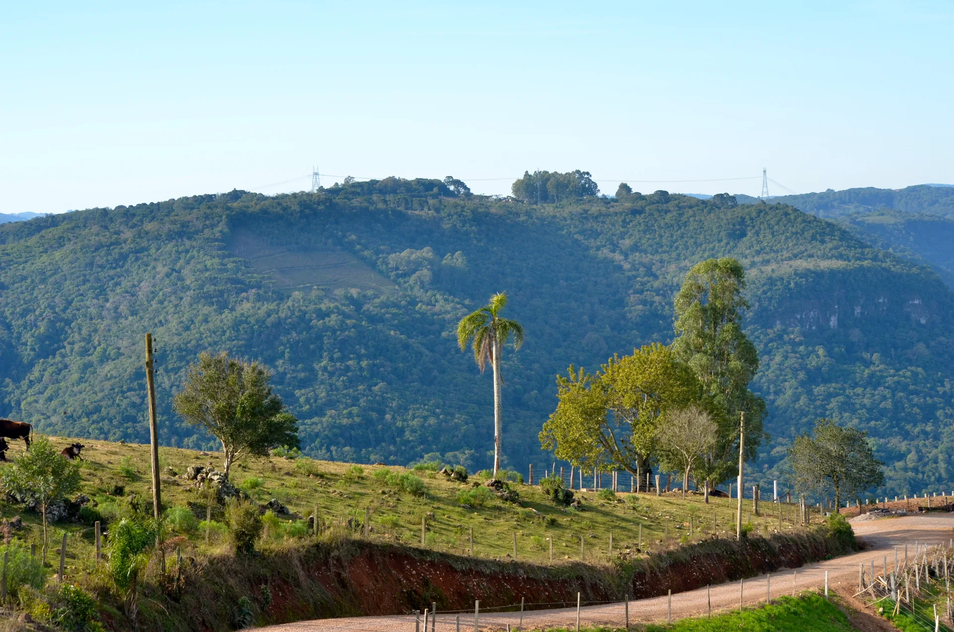 Estrada rural entre colinas e vegetação no Vale dos Vinhedos, no Rio Grande do Sul.