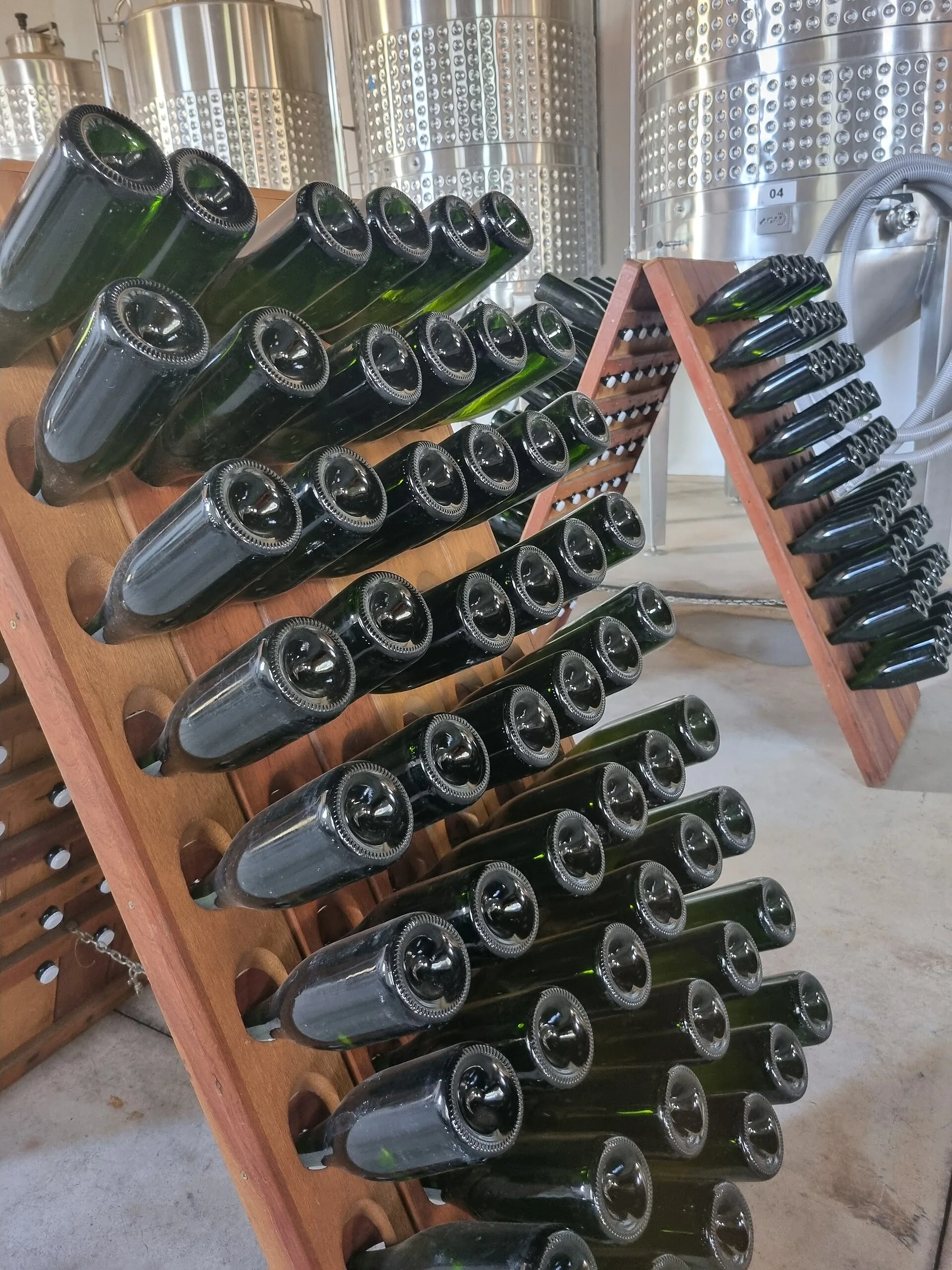 Garrafas de vinho armazenadas em suportes diante de tanques de produção em vinícola do interior de São Paulo.