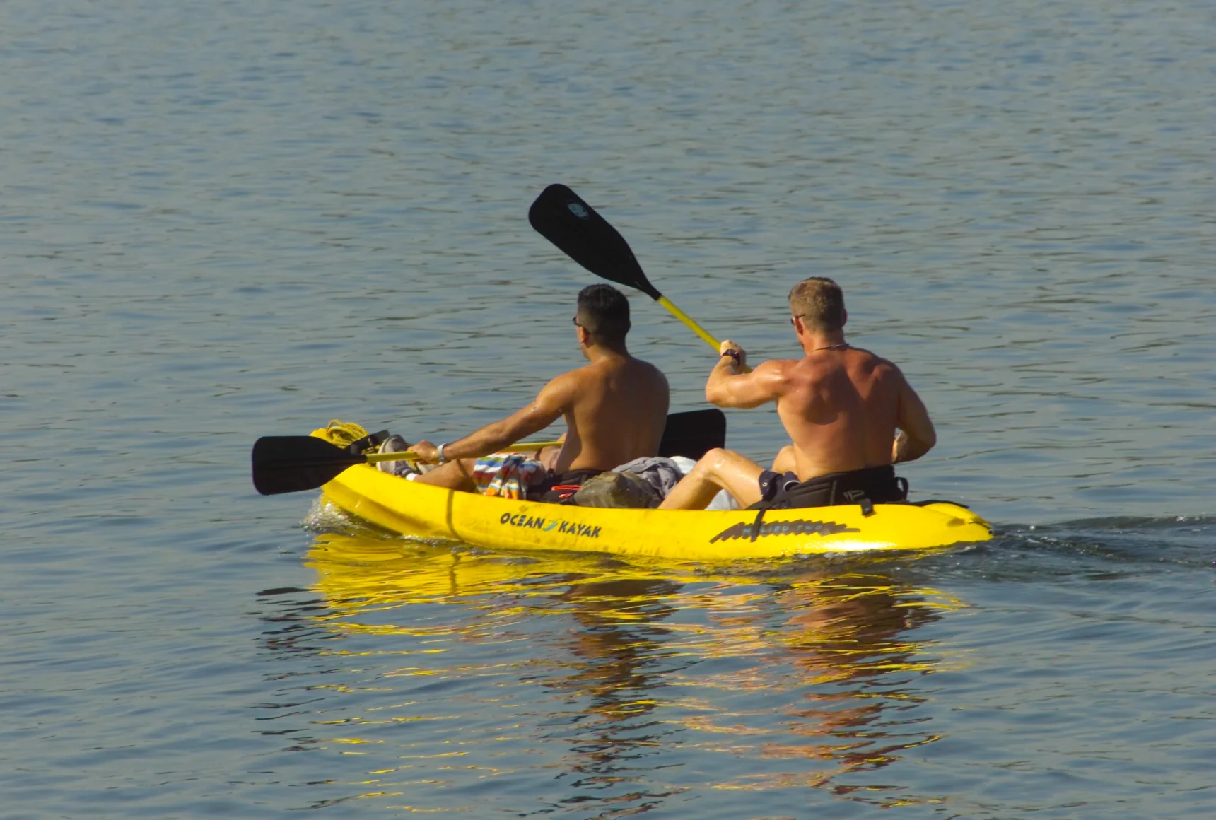 Duas pessoas remam em caiaque duplo amarelo nas águas calmas de Biscayne Bay, em luz natural.