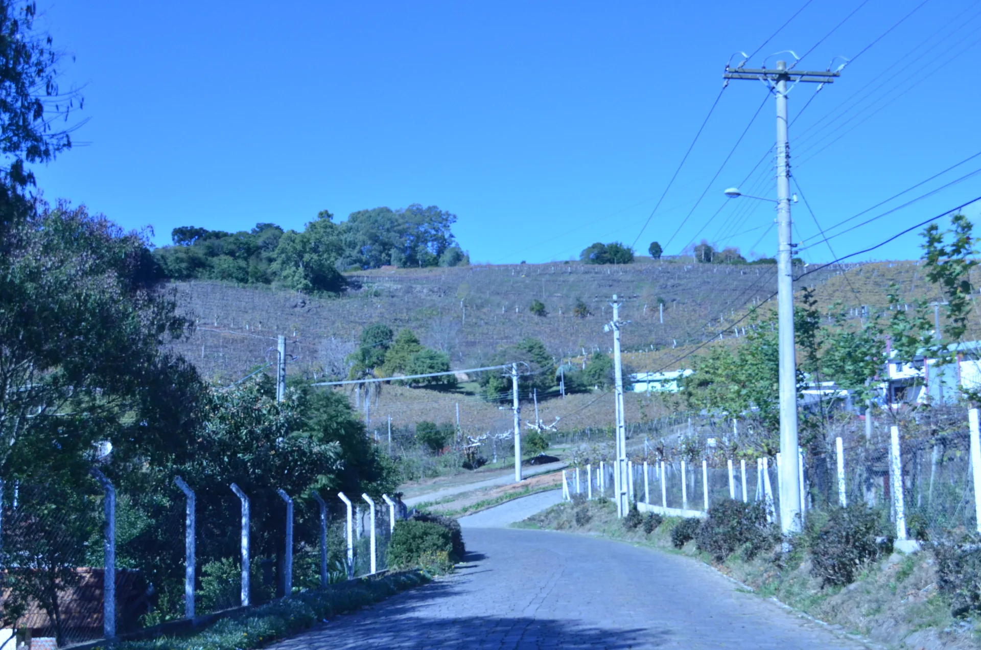 Estrada rural entre vegetação e colinas no Vale dos Vinhedos, sob céu azul.
